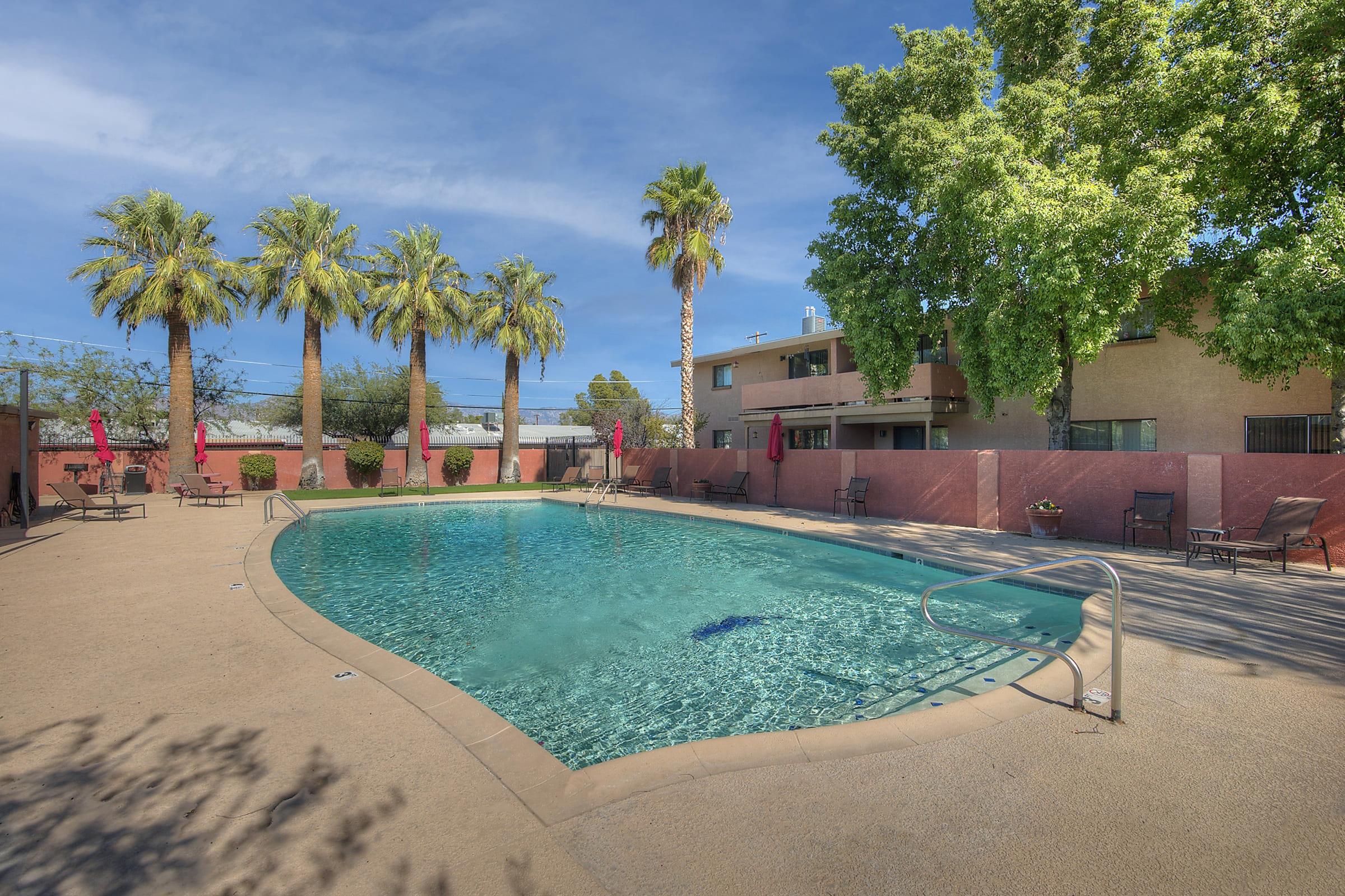 a group of palm trees next to a pool