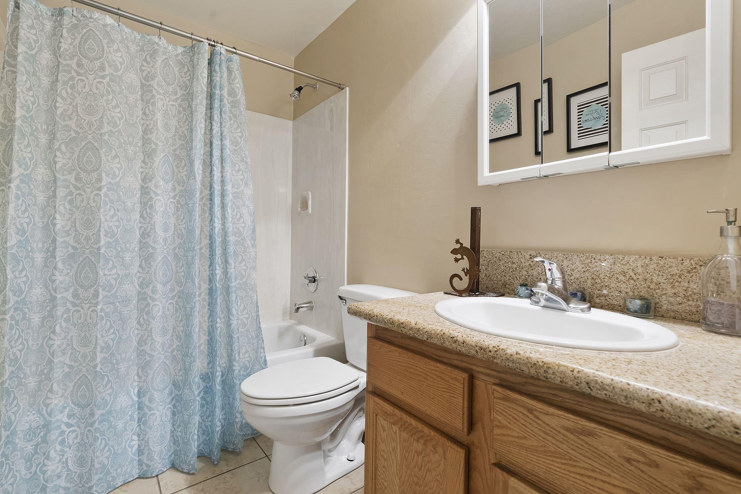 a shower curtain next to a sink