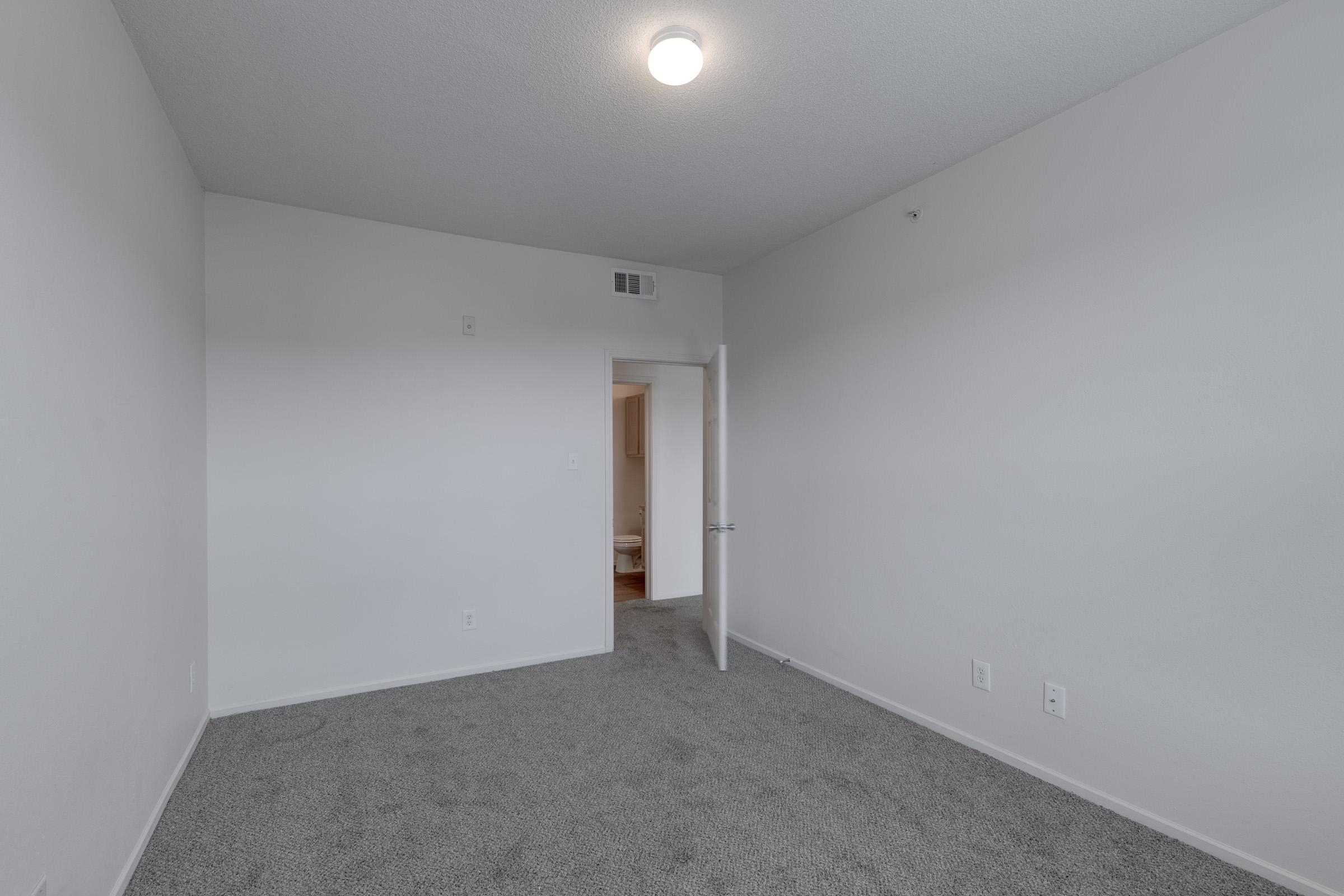 An empty room with light gray carpet and white walls. A ceiling light fixture illuminates the space. There is a partially open door leading to another area, suggesting the presence of a bathroom or closet. The room appears clean and minimally furnished.
