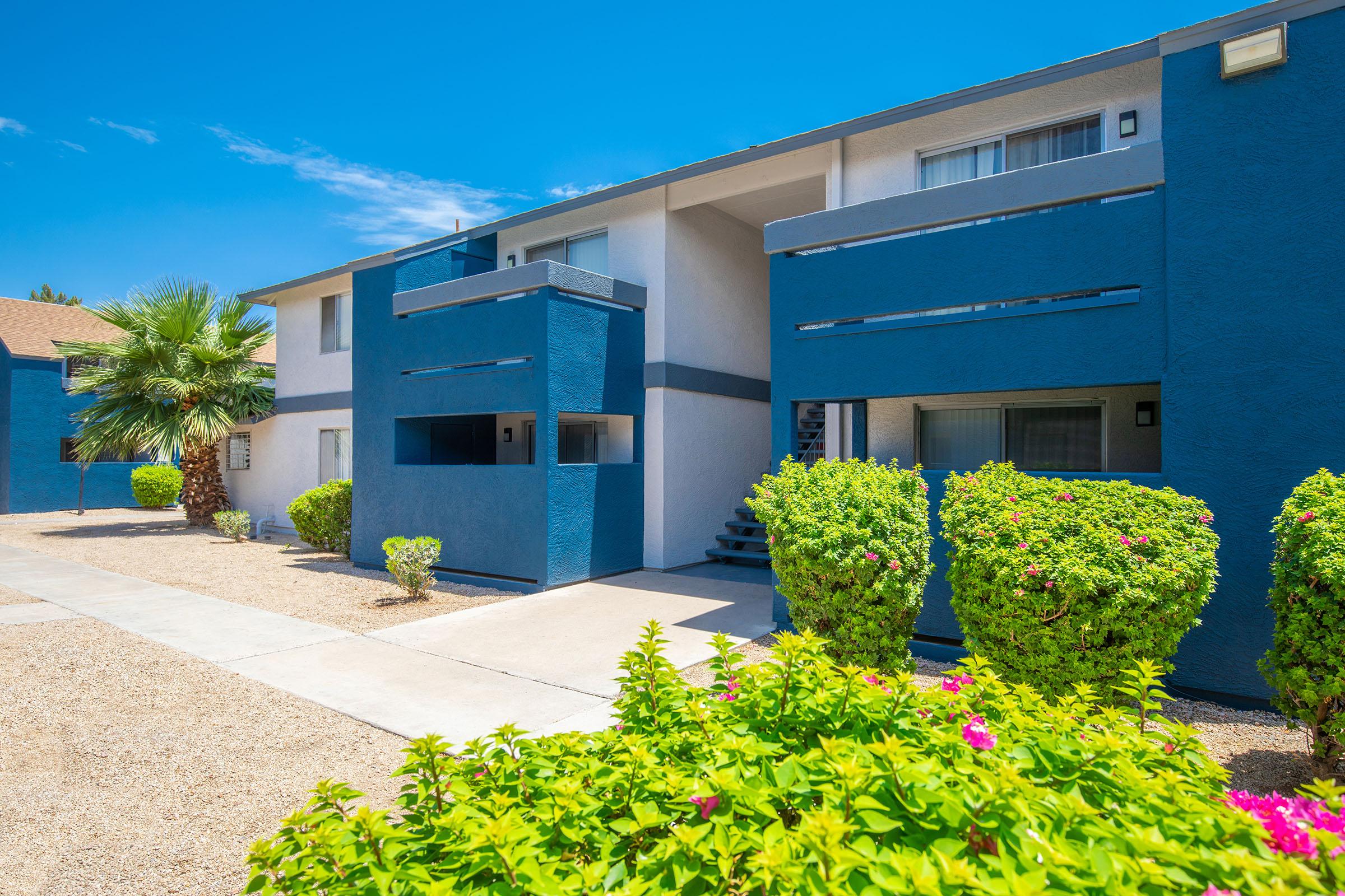 Navy blue Rise at the District Mesa apartment building exterior featuring large balconies and green landscaping