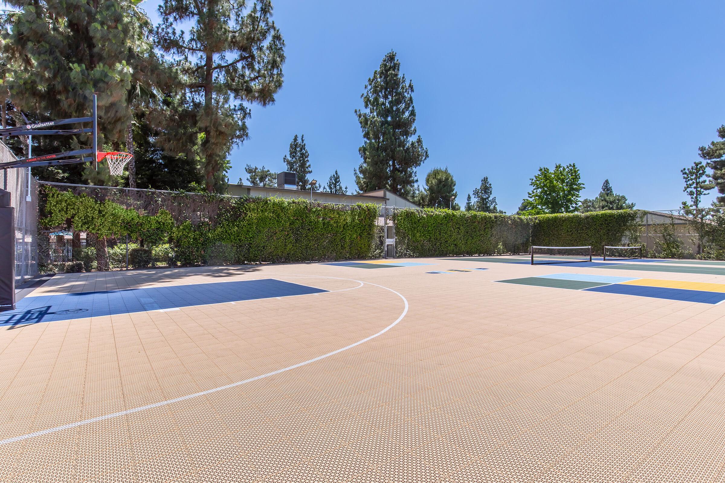 A sunny outdoor basketball court surrounded by tall trees and hedges. The court features a hoop on one side, with different colored sections for play. The blue sky and bright conditions create a vibrant atmosphere, ideal for recreational activities.