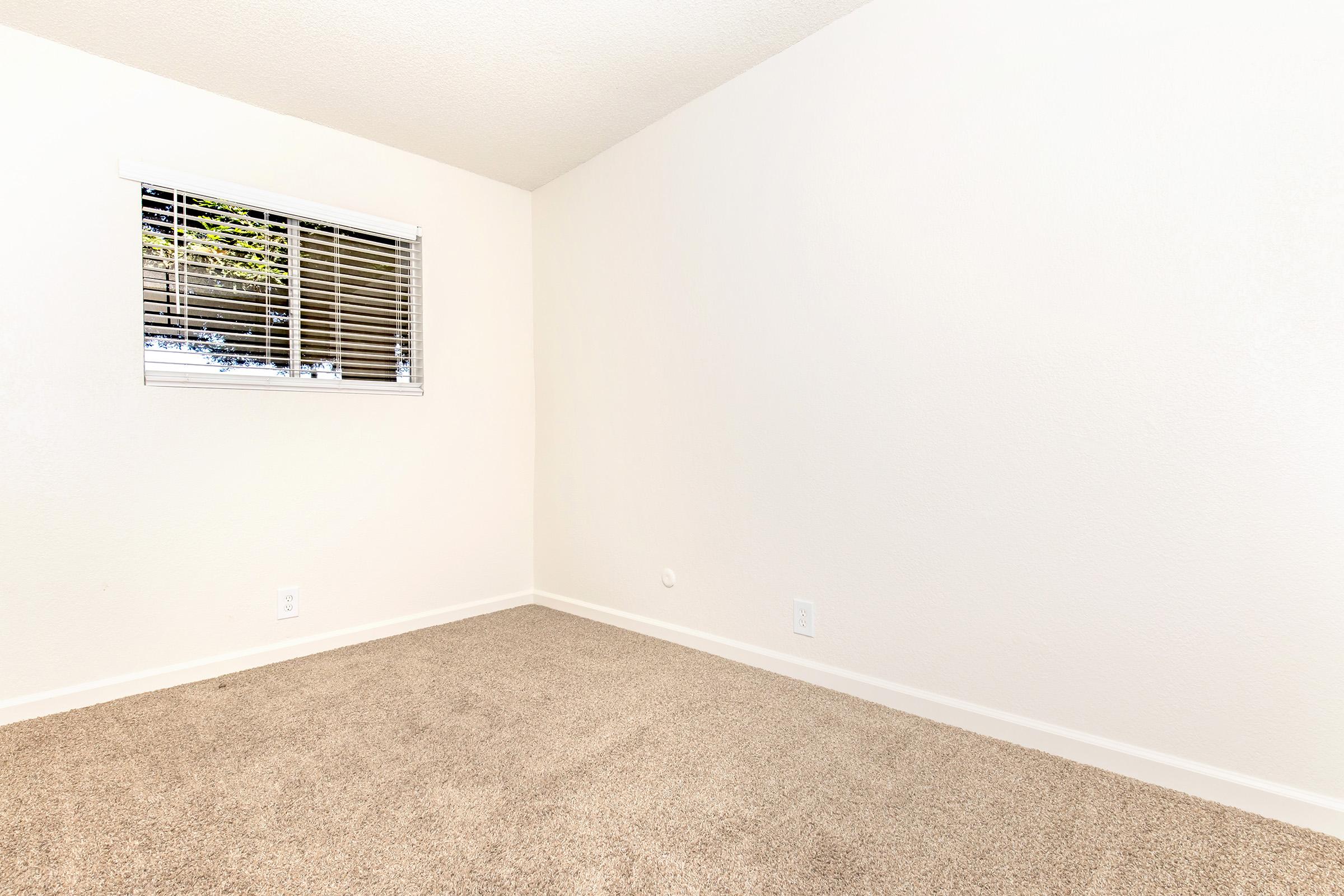 A clean, empty room with light beige carpeting and a white wall. A small window with white blinds lets in natural light, illuminating the space. There is an absence of furniture, giving the room a spacious and open feel. The overall ambiance is bright and minimalistic.