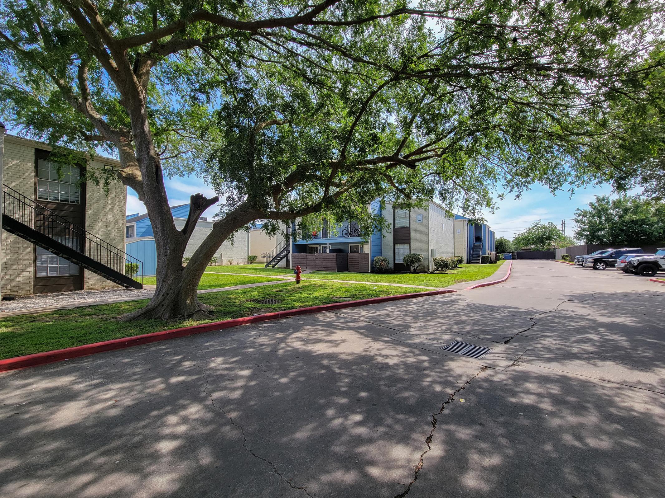 A view of an apartment complex surrounded by greenery. A large tree provides shade on the left, while cars are parked along a red-bordered driveway. Several buildings with multiple stories are visible in the background under a clear blue sky. Shadows cast by the tree create a dappled effect on the ground.