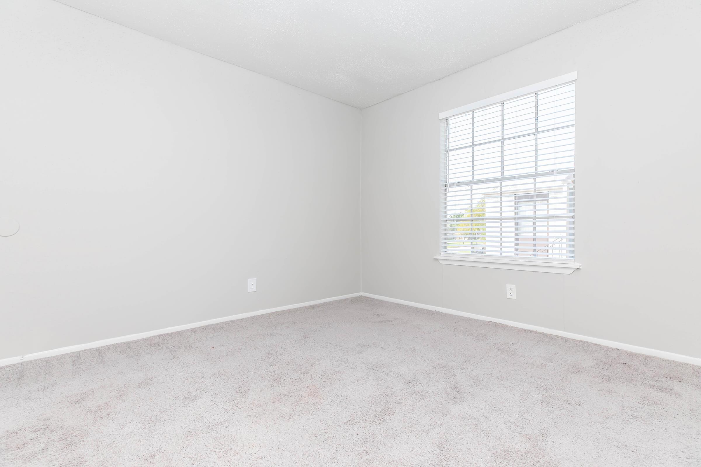 Empty corner of a room with light gray walls and a window featuring white blinds. The floor is covered in light-colored carpet, creating a soft and neutral atmosphere. No furniture or decor is visible, emphasizing the spaciousness of the area.
