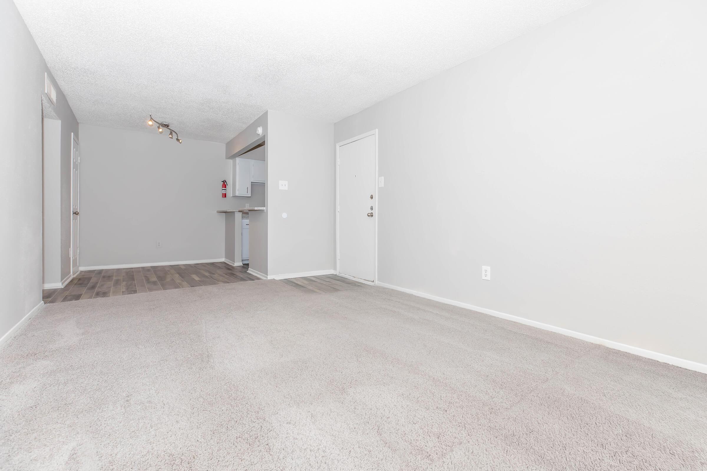 Empty living space with light gray walls and carpeted floor. The room features a small kitchen area in the background, visible through an open space. Natural light enters through the front door, which is situated to the right. The overall atmosphere is bright and minimalist.