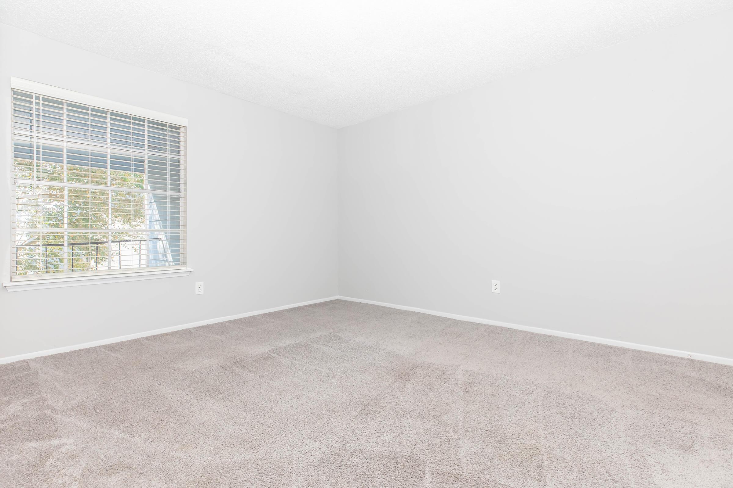 Empty room with light gray walls and beige carpet. A window with white blinds allows natural light to enter, illuminating the space. The room has no furniture, creating a clean and spacious feel.