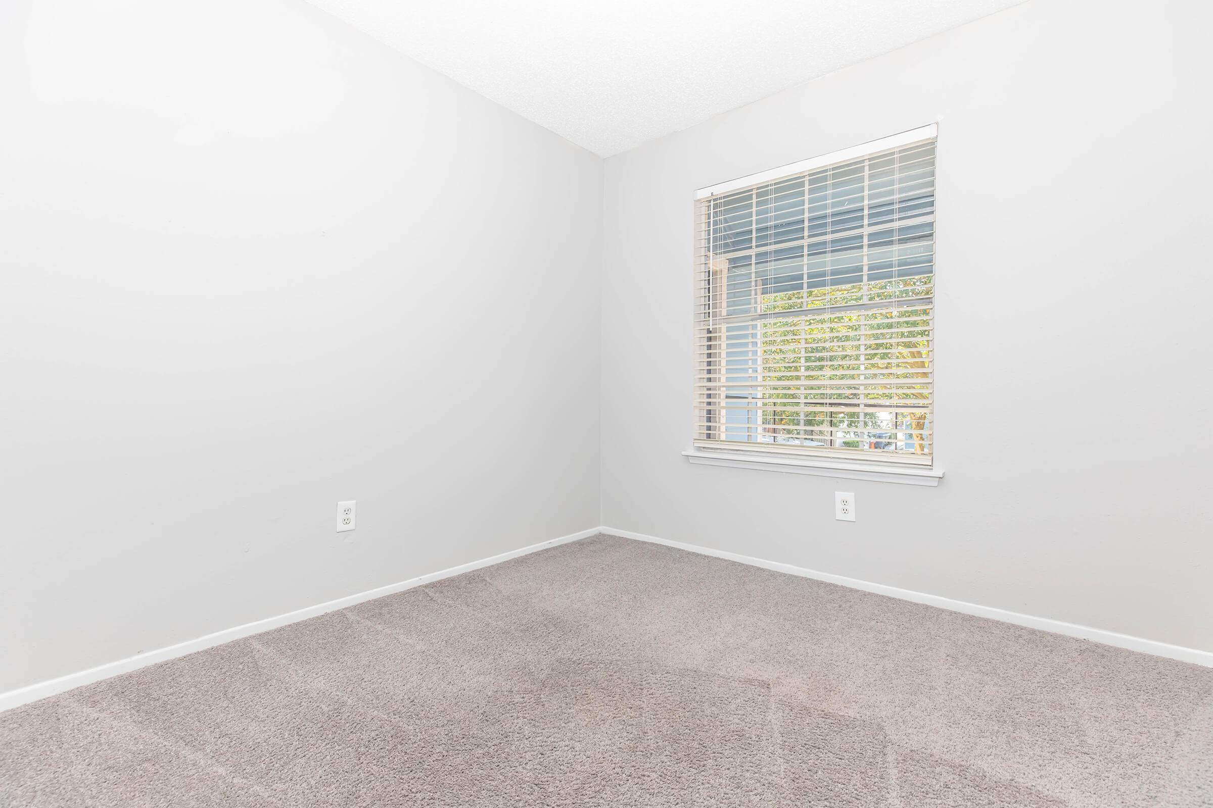 A light gray room with carpeted flooring and a window on one wall. The window has white blinds, allowing natural light to illuminate the space. The walls are bare, creating a clean and minimalistic aesthetic. No furniture is present in the room, emphasizing its emptiness.