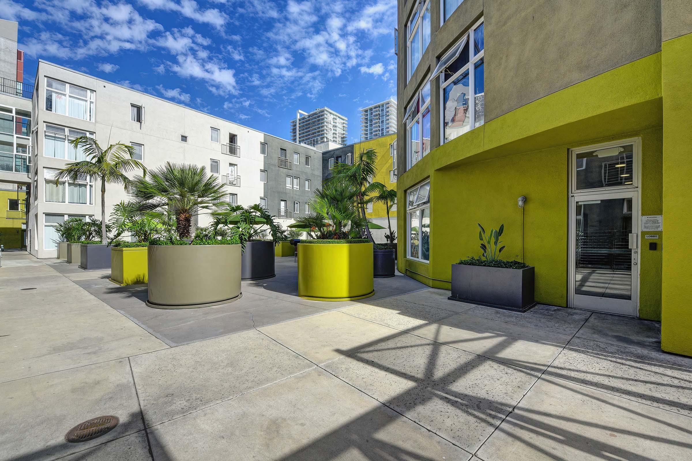 A modern outdoor courtyard featuring large planters with tropical plants. The surroundings include brightly colored buildings and a clear blue sky with scattered clouds, creating a vibrant urban atmosphere.