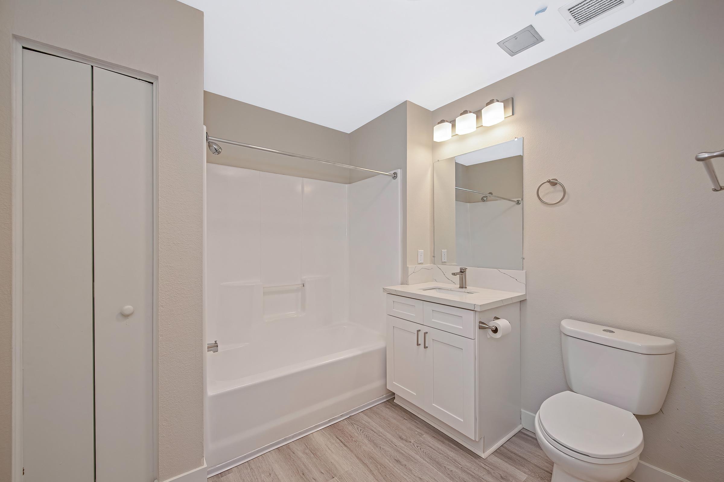A modern bathroom featuring a white bathtub with a shower, a single vanity with a sink and storage, a large mirror, and a toilet. The walls are painted in a light gray color, and the floor has a light wood-like finish. There's a door leading to a closet space. Bright lighting enhances the overall appearance.