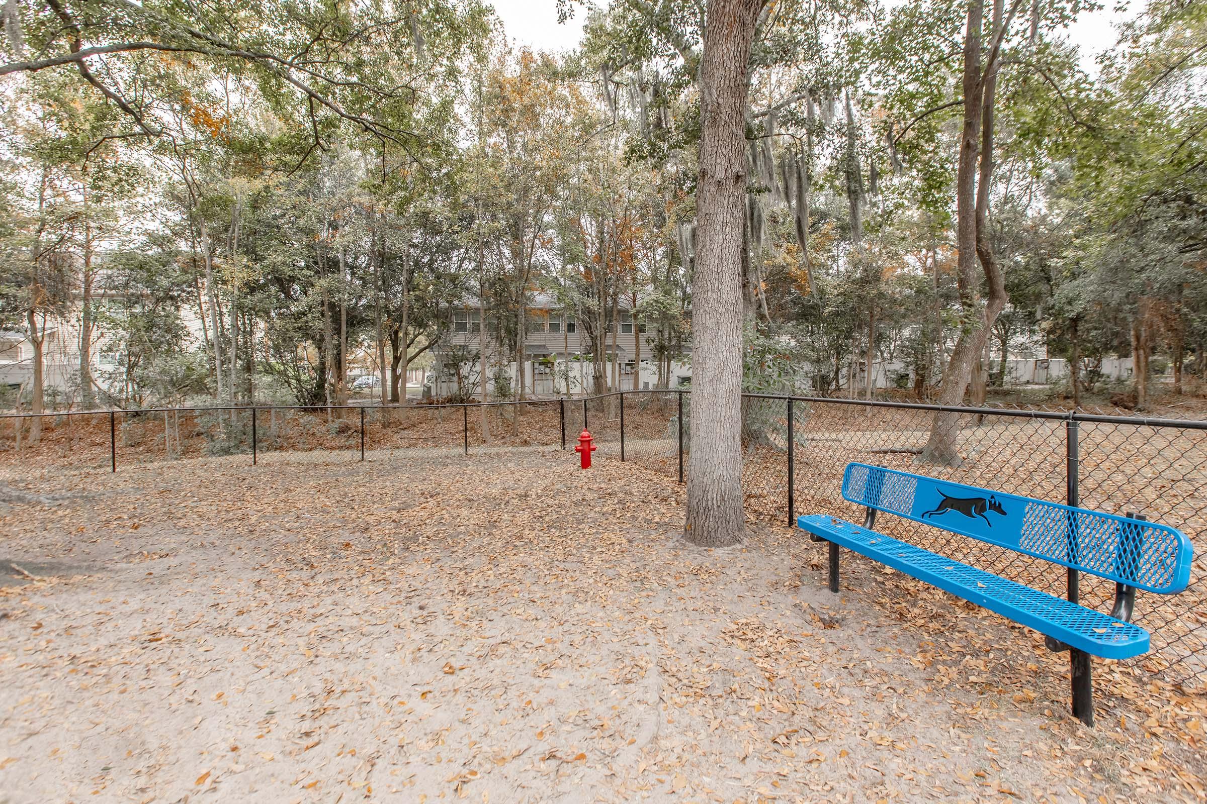 a blue bench in front of a tree