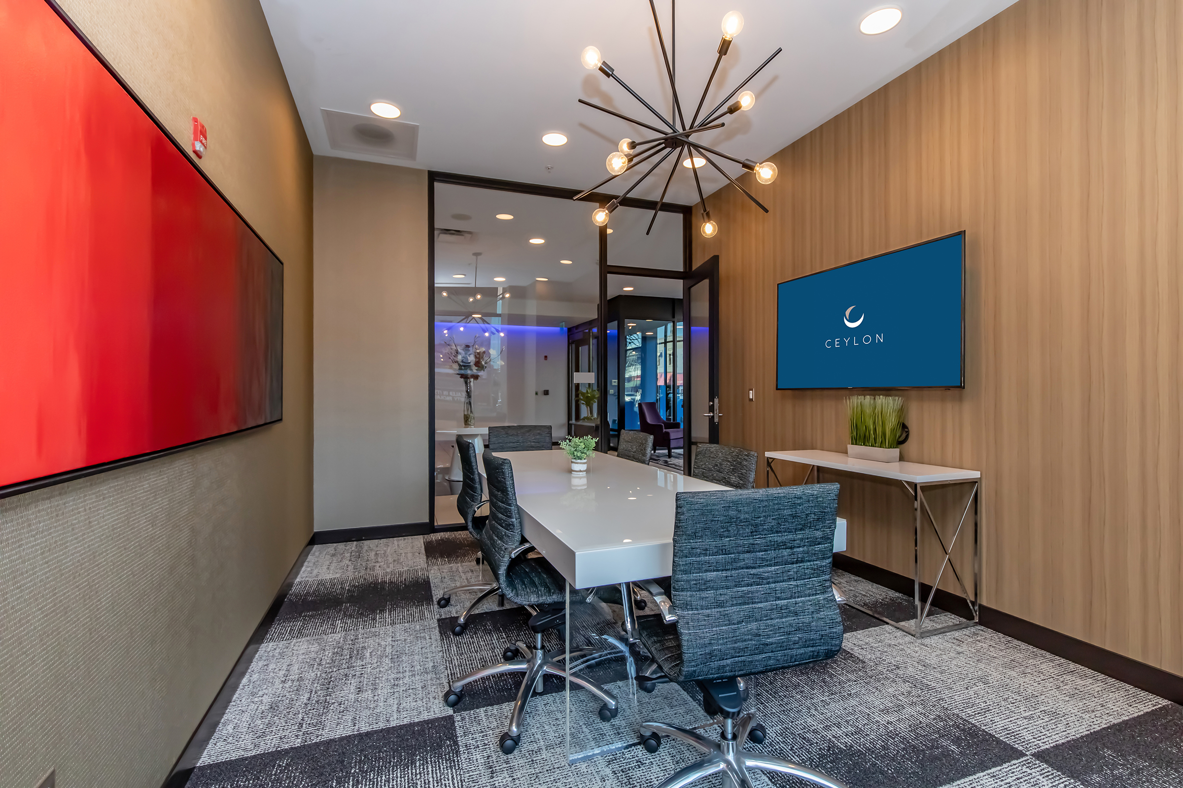 A modern conference room featuring a long white table with black chairs, a large television displaying the name "CEYLON," a decorative plant on a side table, and two wall art pieces—one red and one beige—against a textured wall. Bright lighting creates a welcoming atmosphere.