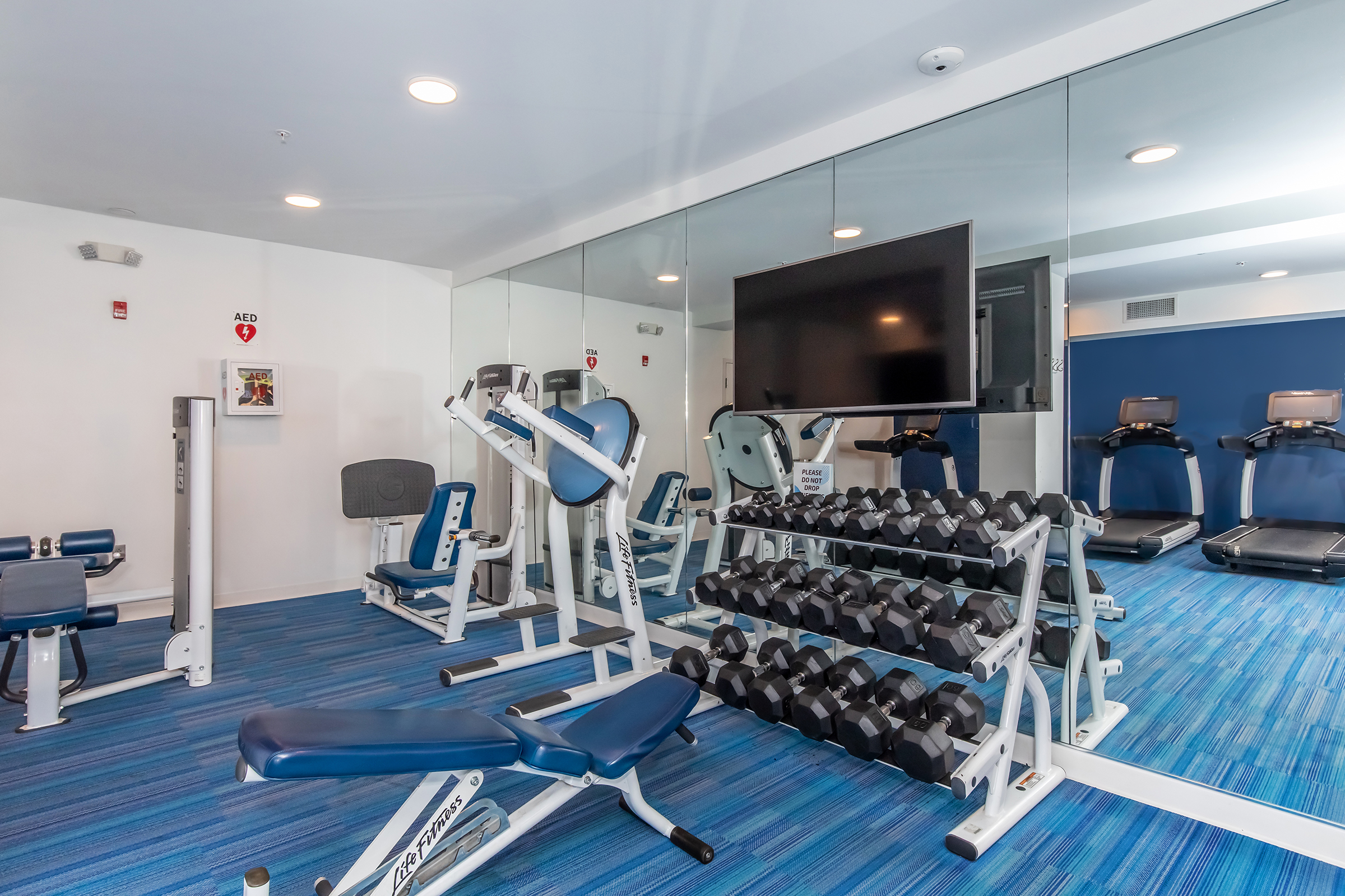 Fitness center with a variety of exercise equipment, including weight benches, dumbbells, and cardio machines like treadmills. Mirrors along one wall reflect the gym's interior, which features blue and gray flooring and a large TV mounted on the wall.