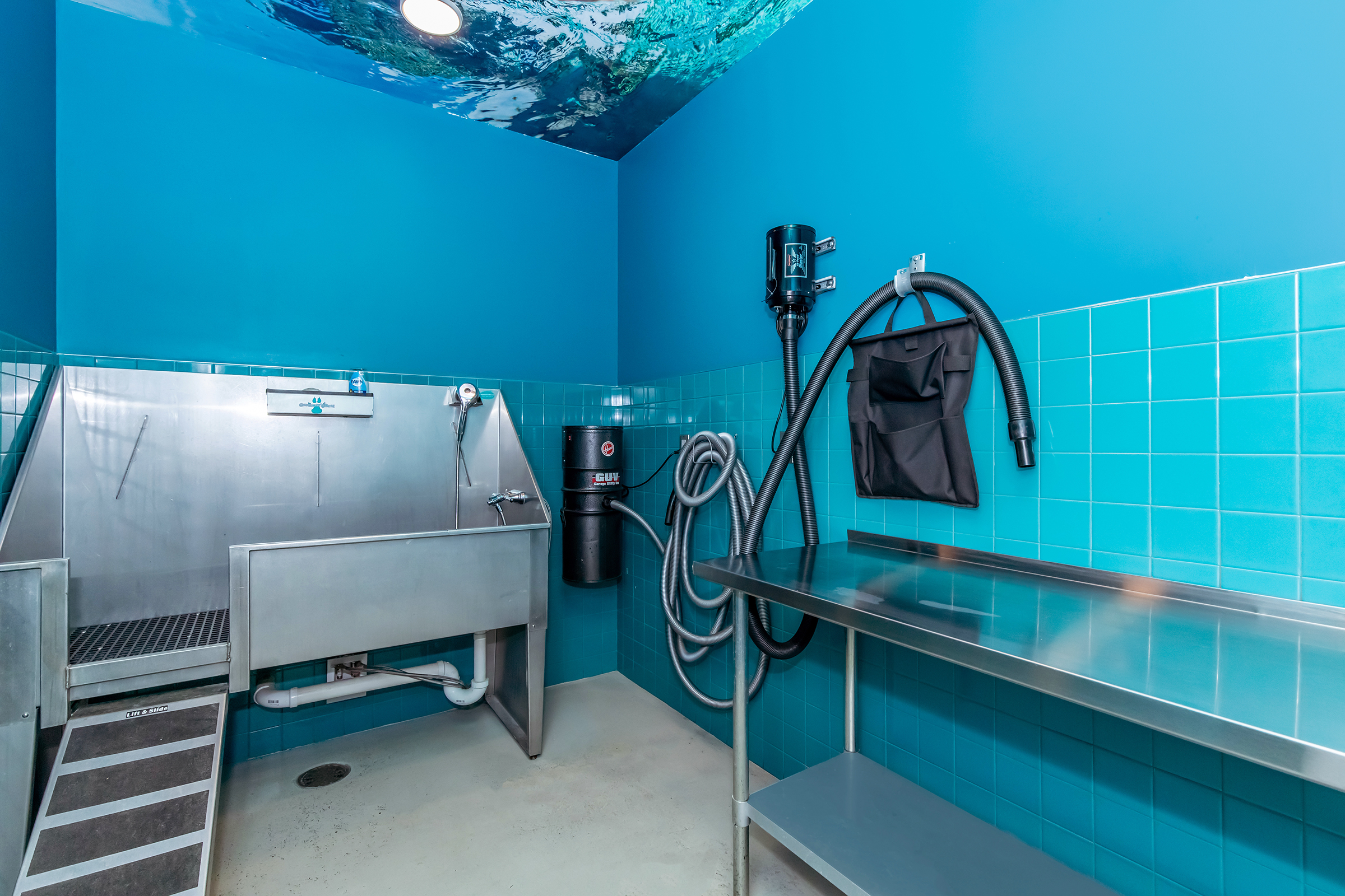A bright blue room designed for washing pets, featuring a stainless steel wash tub with a ramp, a hanging hose, and a vacuum for drying. There are turquoise tiled walls and a gray metal work table, contributing to a clean and modern atmosphere. The ceiling has a water-themed design.