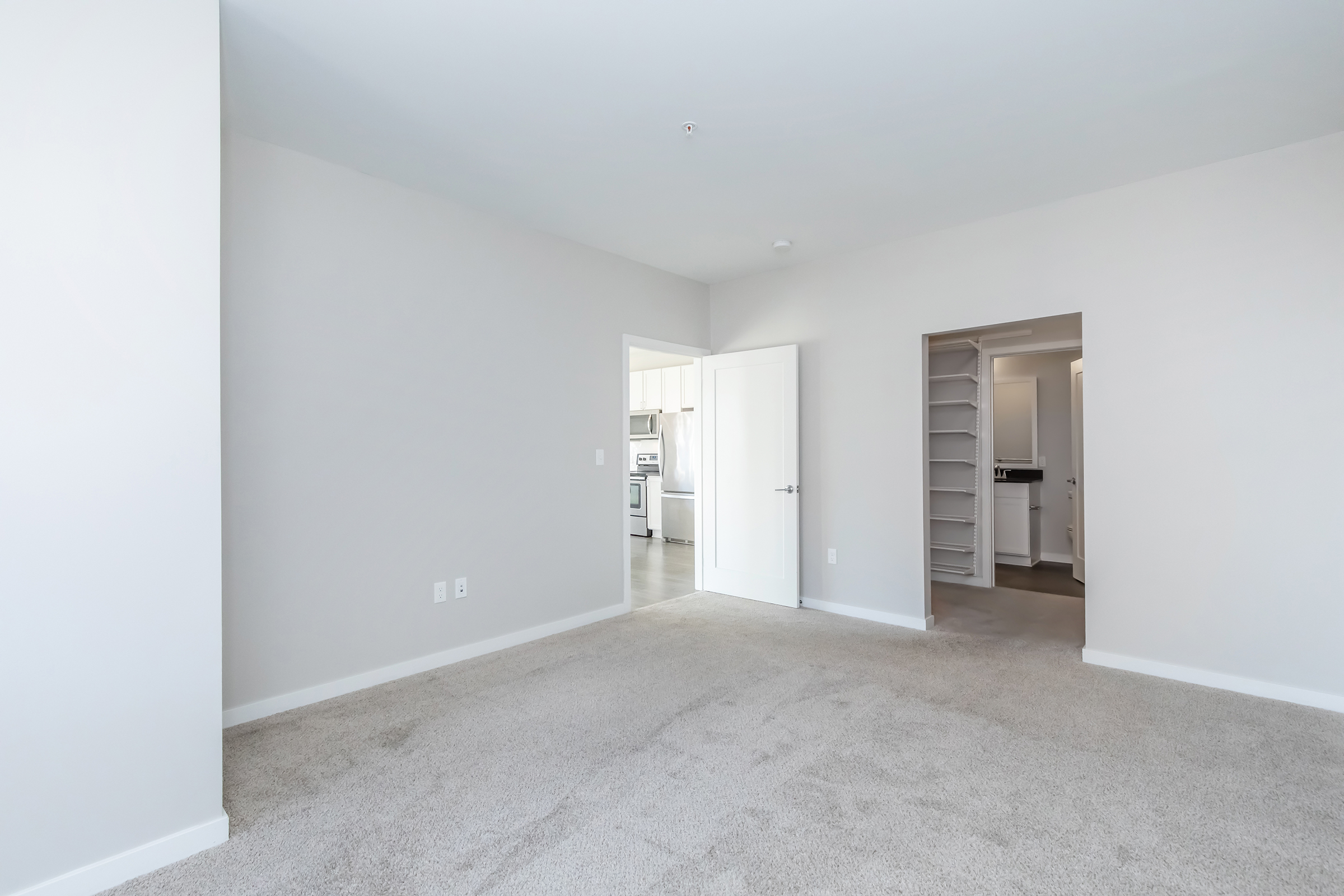 A spacious, empty room with light gray walls and plush carpet flooring. There are two doorways leading to adjacent areas, one showing a glimpse of a kitchen. The room is well-lit, giving a sense of openness and potential for decorating or furnishing.