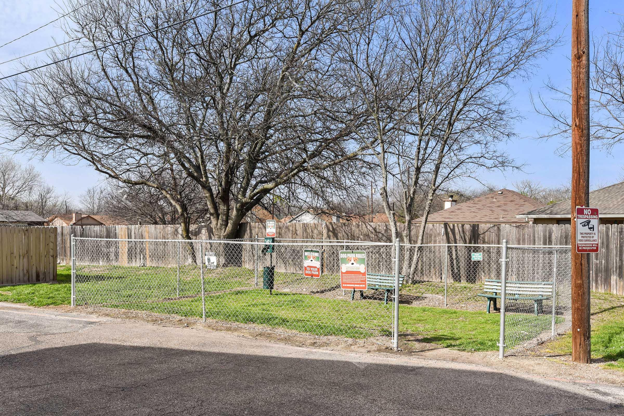 a tree in front of a fence