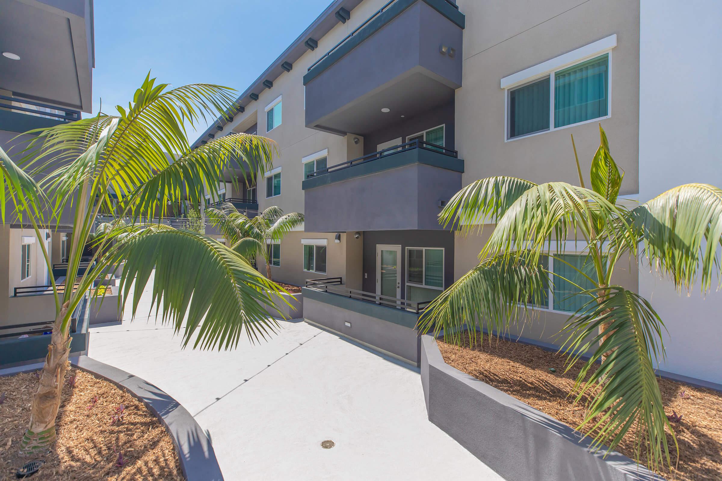 a palm tree in front of a building