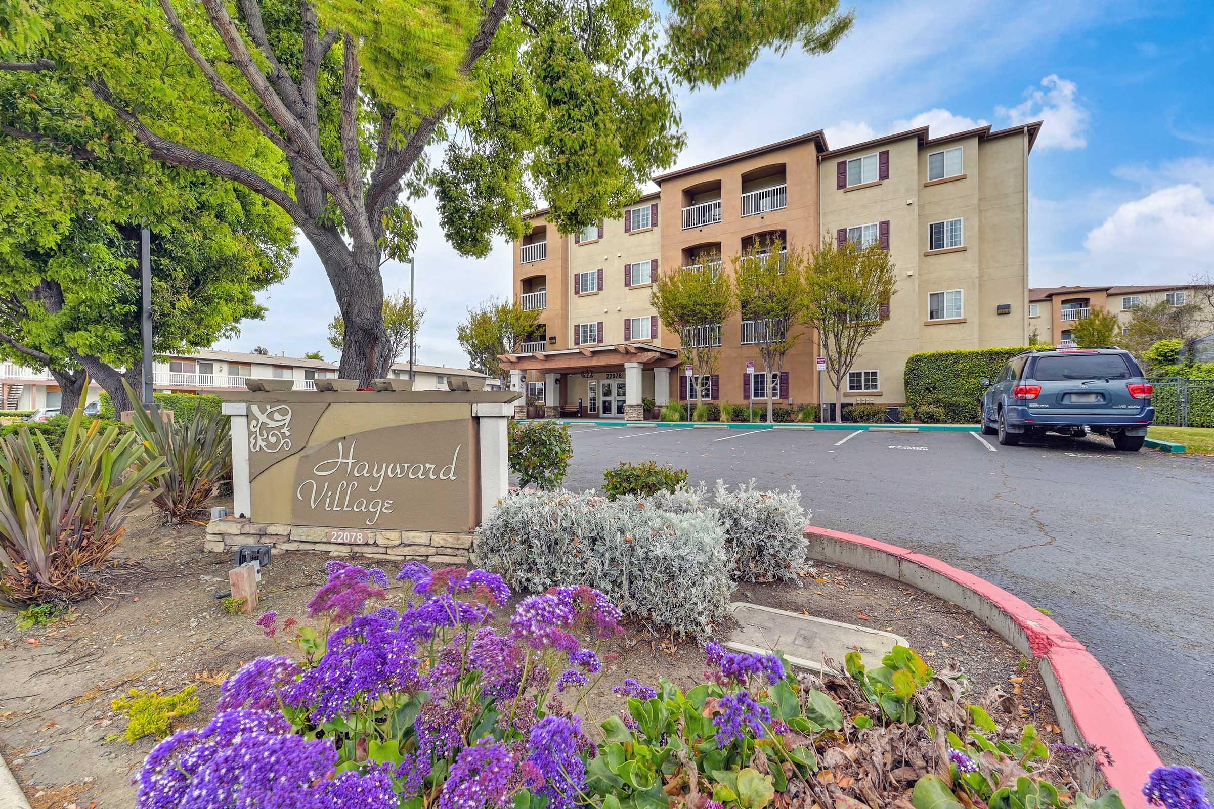 Sign for Hayward Village in front of a multi-story residential building. The scene features well-maintained landscaping with purple flowers, trees, and a parking area. The building has multiple windows and a welcoming entrance, set against a clear blue sky.