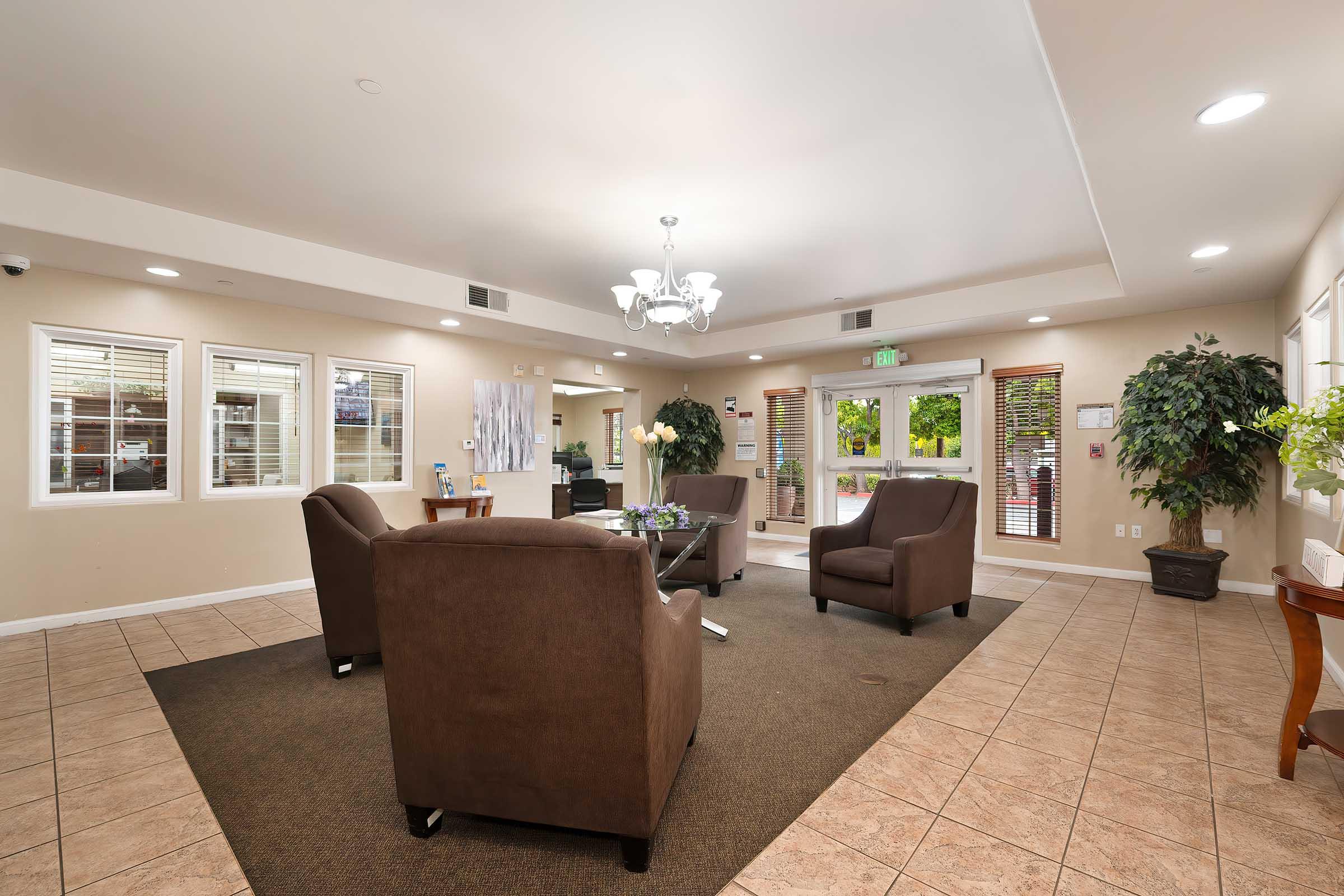 A spacious indoor lounge area featuring two brown armchairs and a central coffee table on a textured rug. Large windows allow natural light, complemented by greenery from potted plants. The walls are painted in a neutral tone with decorative artwork, creating a welcoming atmosphere for relaxation or socializing.