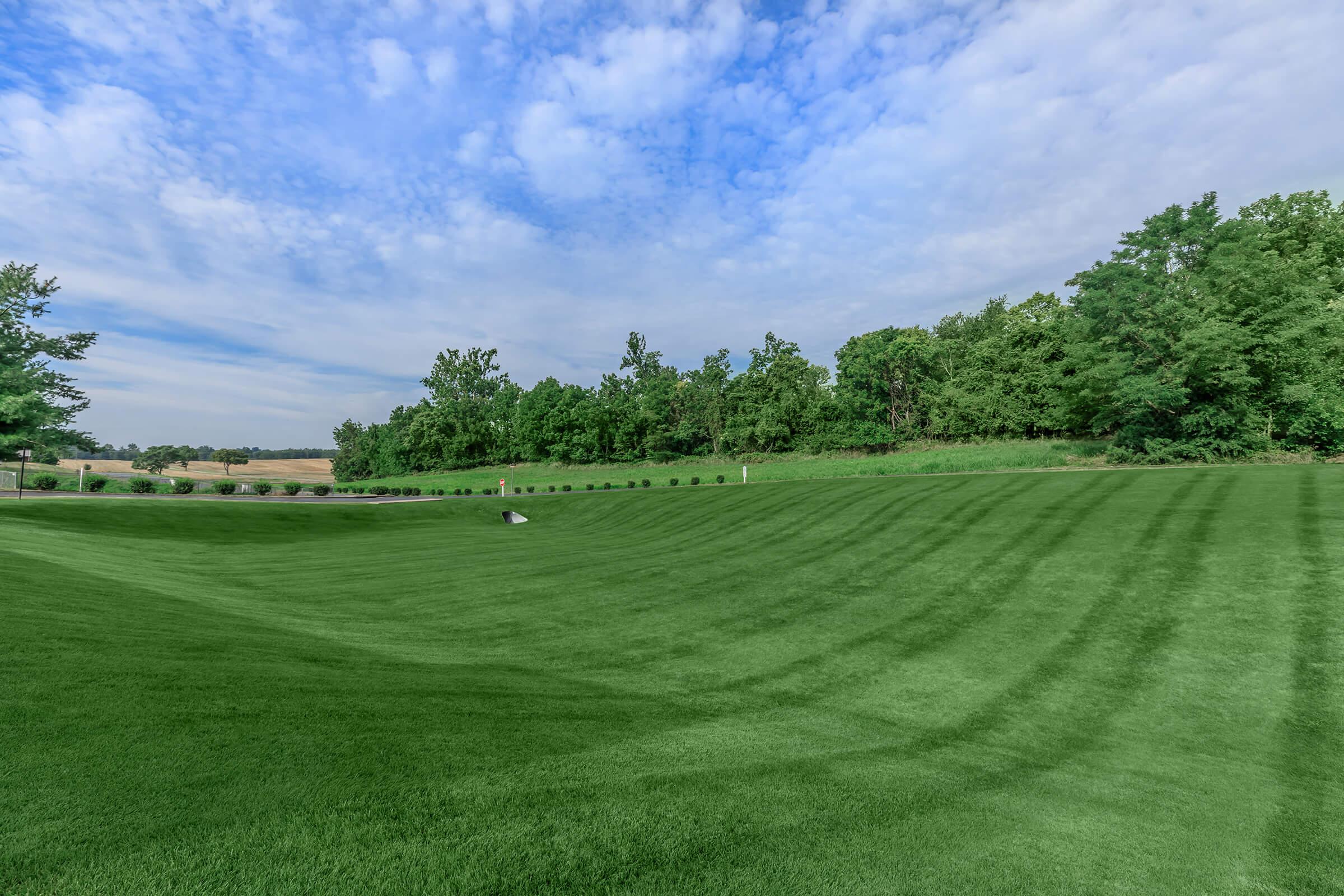 A lush green lawn with wavy mowing patterns, bordered by a line of trees. The sky above is partly cloudy, creating a serene rural landscape.