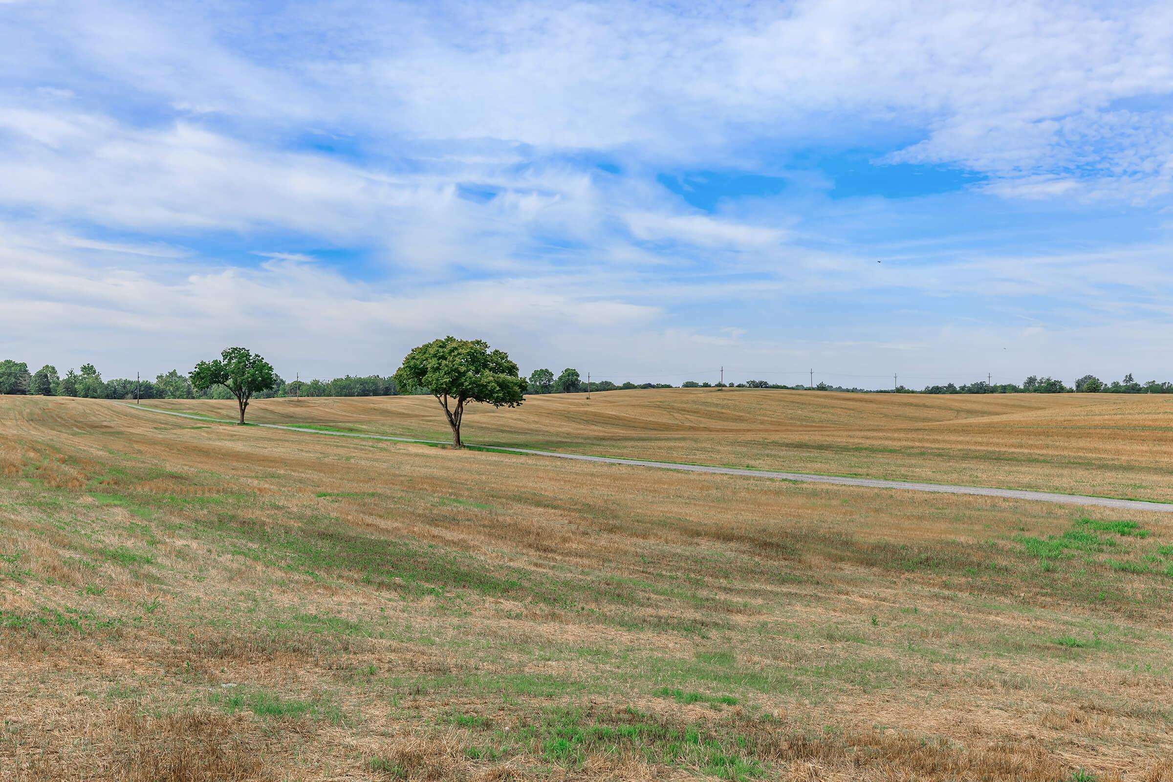 A wide landscape featuring a dried, grassy field under a partly cloudy sky. Two solitary trees stand in the field, with a dirt path running through the area. The scene conveys a sense of openness and tranquility, with a mix of blue and gray hues in the sky.