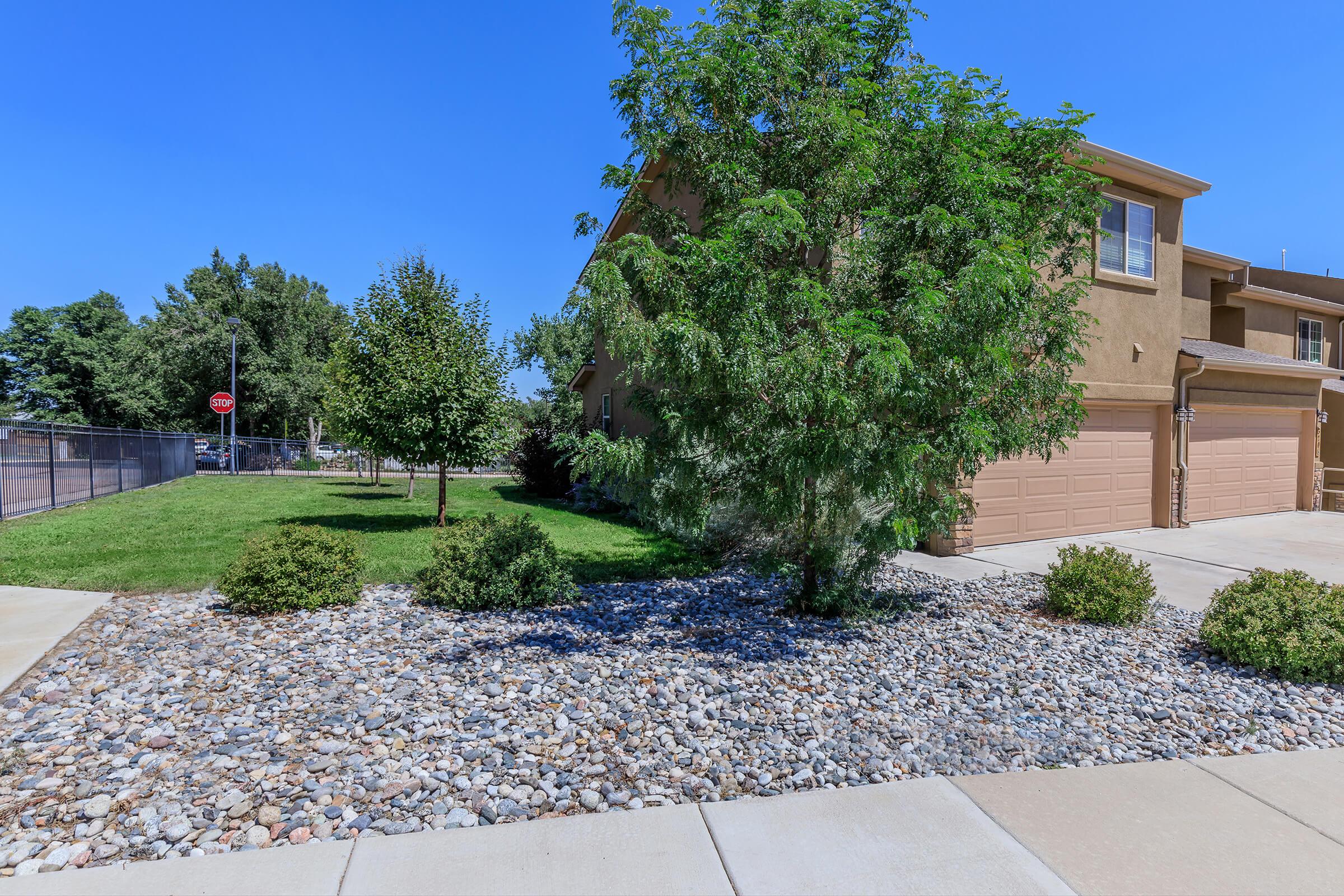 a tree on a sidewalk