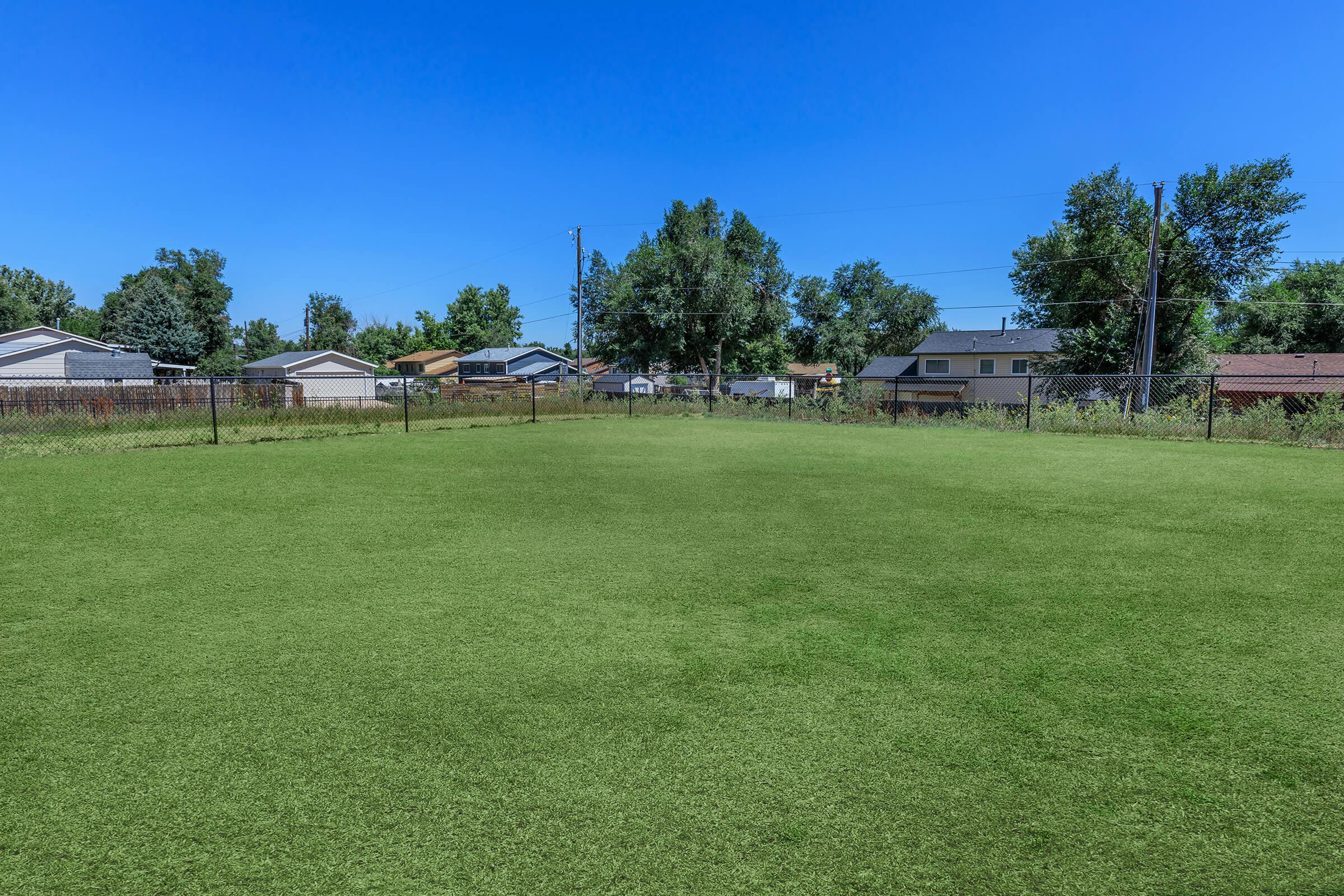 a large green field with trees in the background