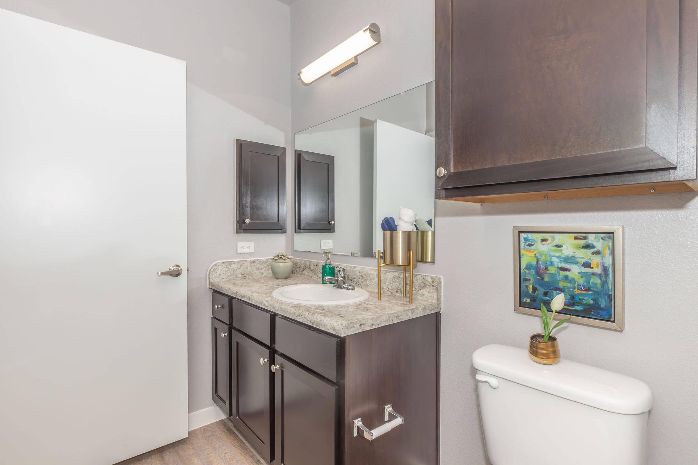 A well-lit modern bathroom featuring a white sink with a granite countertop, dark wooden cabinets, a large mirror, and a white toilet. The walls are painted light gray, and there is framed art on the wall along with a small plant. The door is white and closed. Natural light enhances the space.