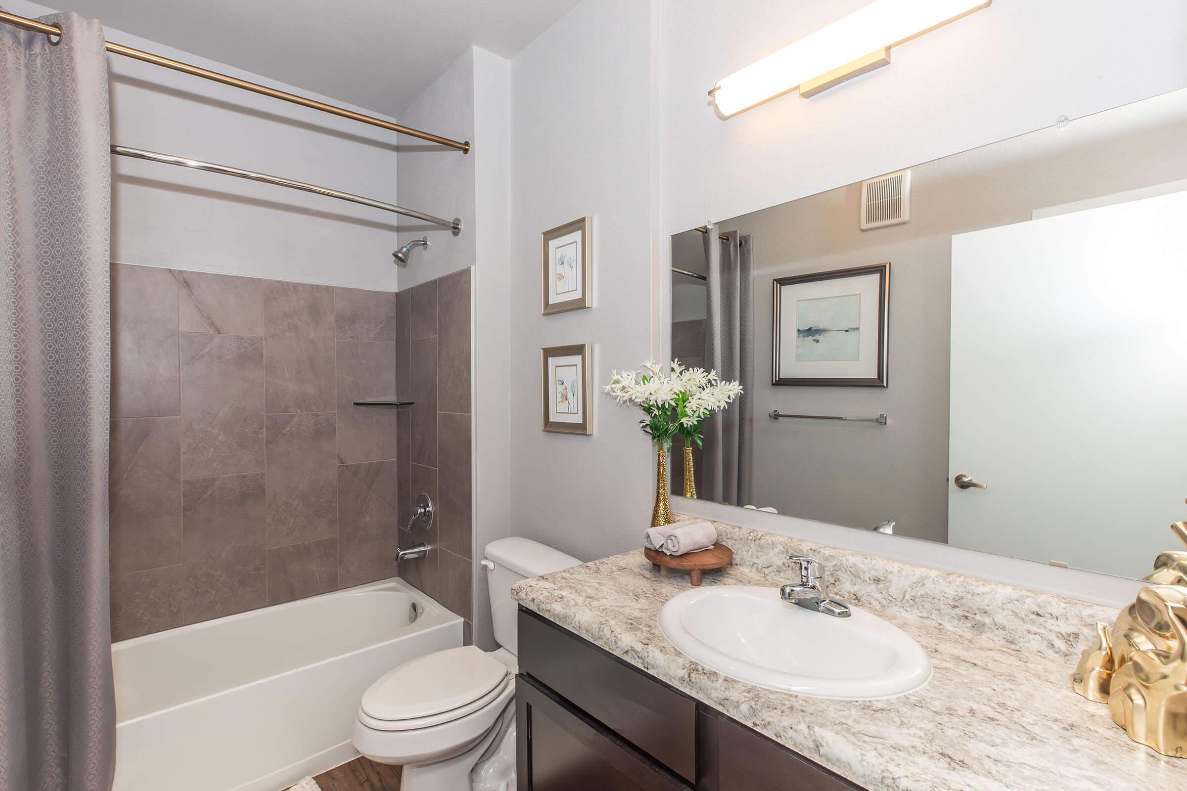A modern bathroom featuring a shower/tub combination with gray tile, a vanity with a granite countertop, a round sink, and a wall-mounted mirror. Decorative artwork is displayed on the wall, and a potted plant adds a touch of greenery. A shower curtain and towel complement the decor.