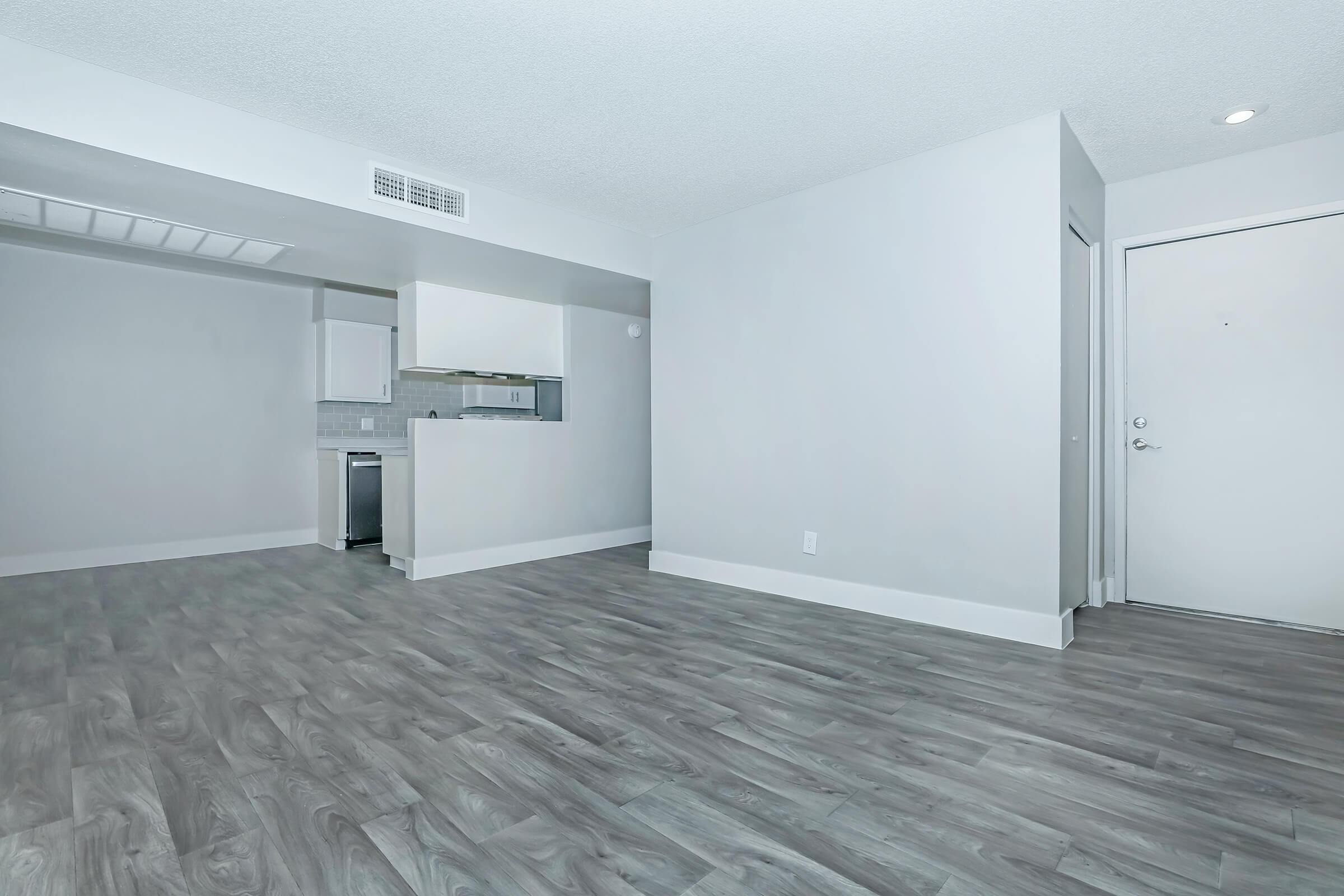 Rise at the Meadows open-concept living space with a kitchen and grey wood-style floors.