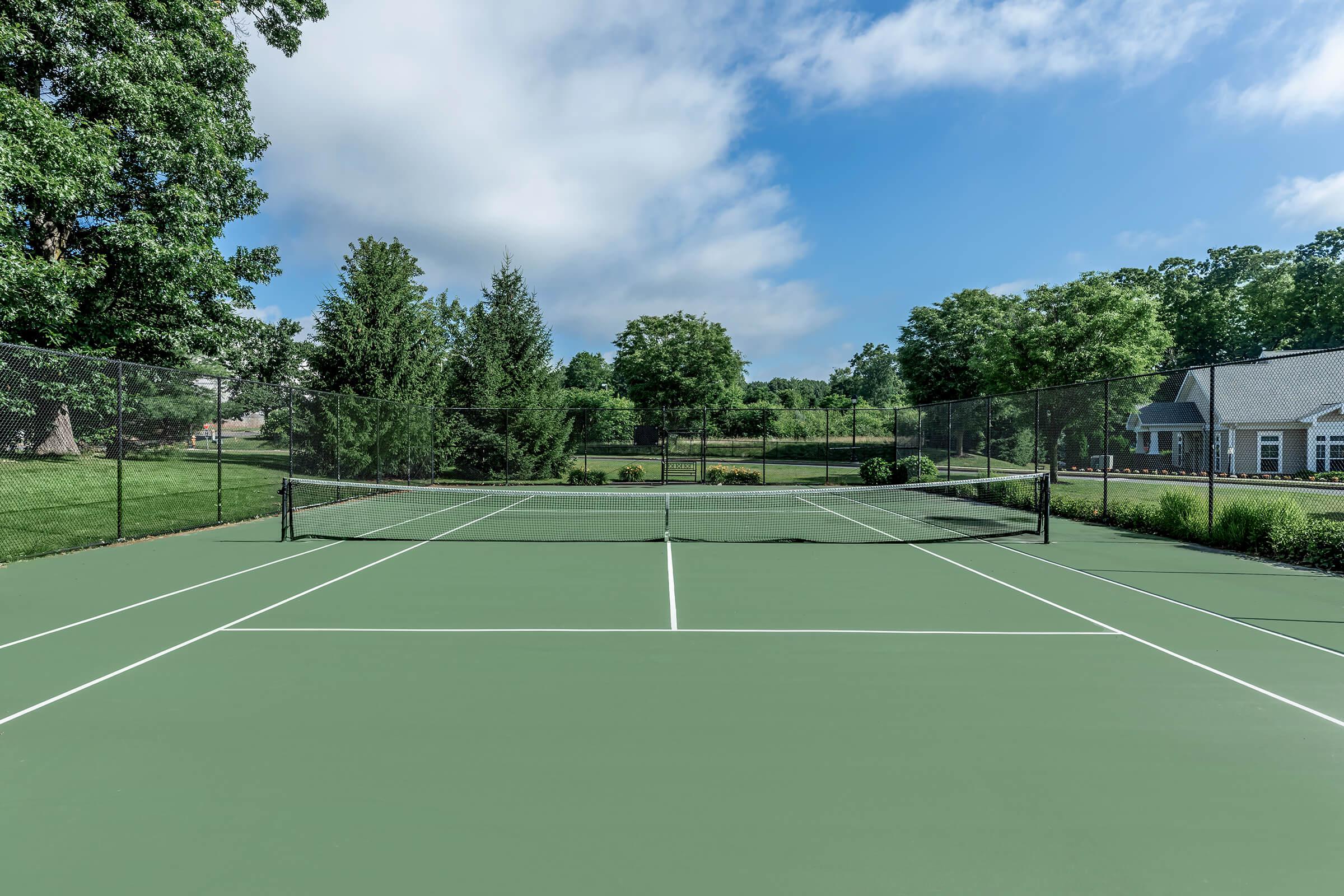 a green ball on a court with a racket