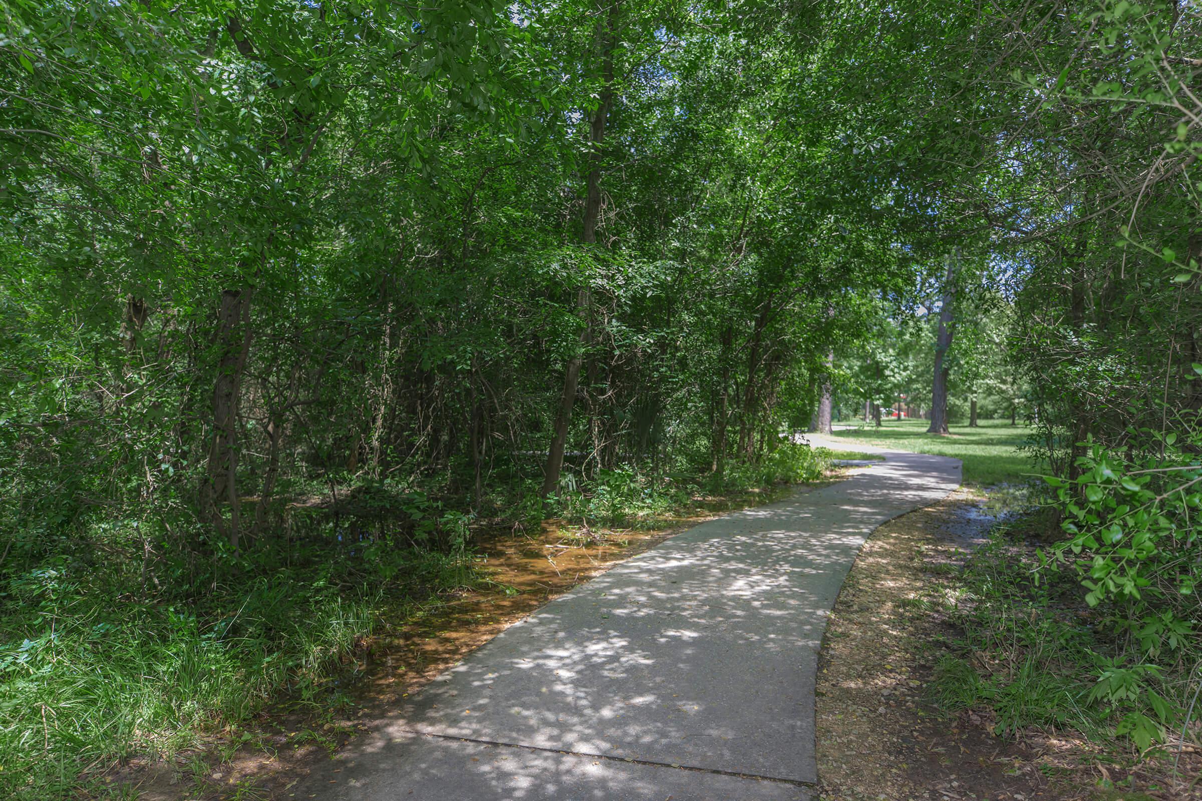 a path with trees on the side of a road