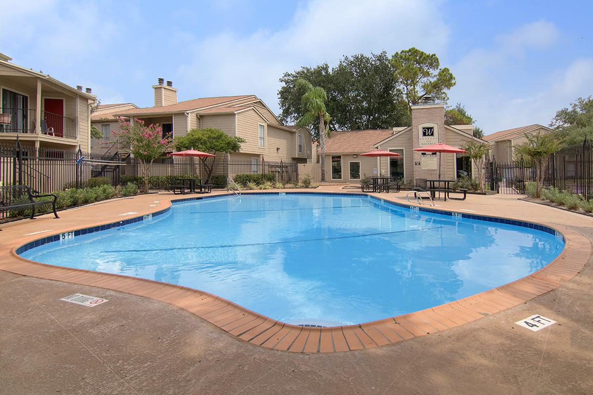 an empty swimming pool