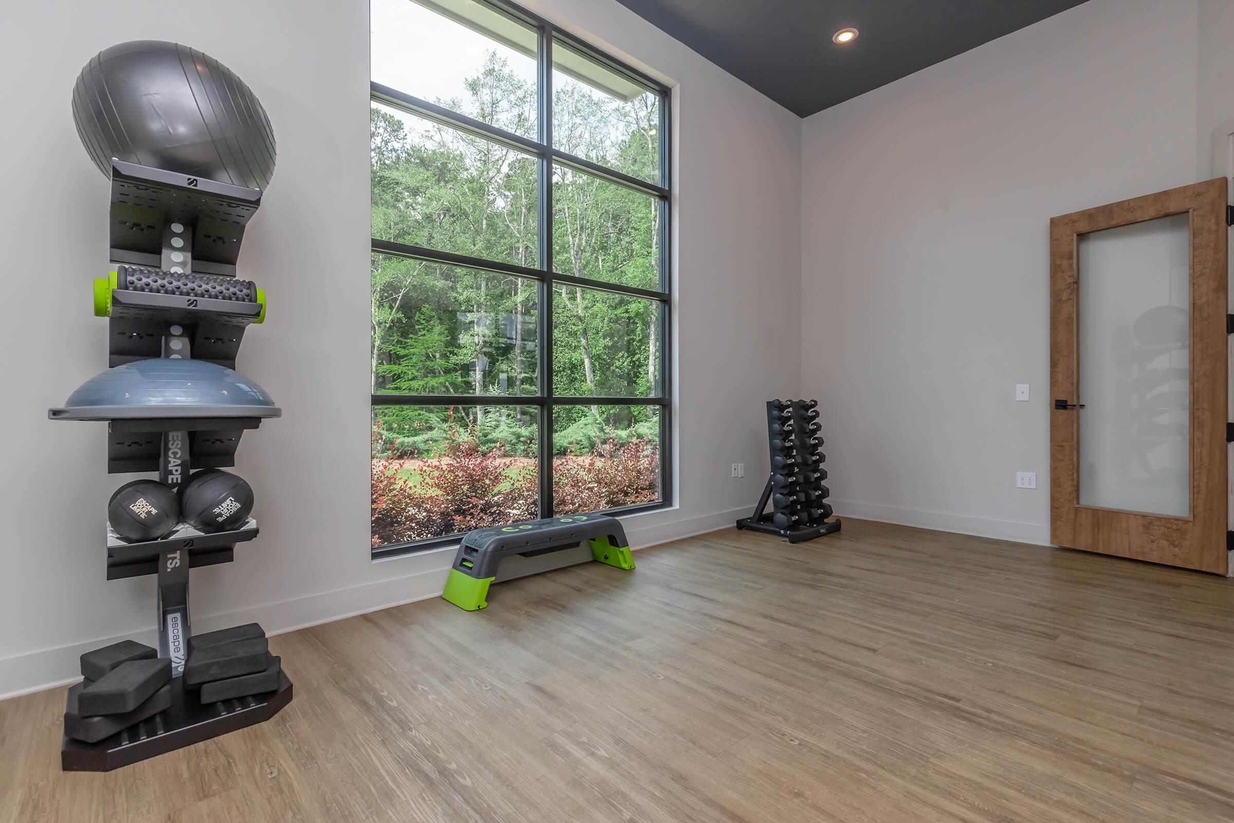 A spacious gym interior with large windows overlooking greenery. The room features workout equipment, including a weight rack with dumbbells, a stability ball on a rack, and a step platform, all positioned on a light wood floor. The modern design includes neutral-colored walls and a wooden door.