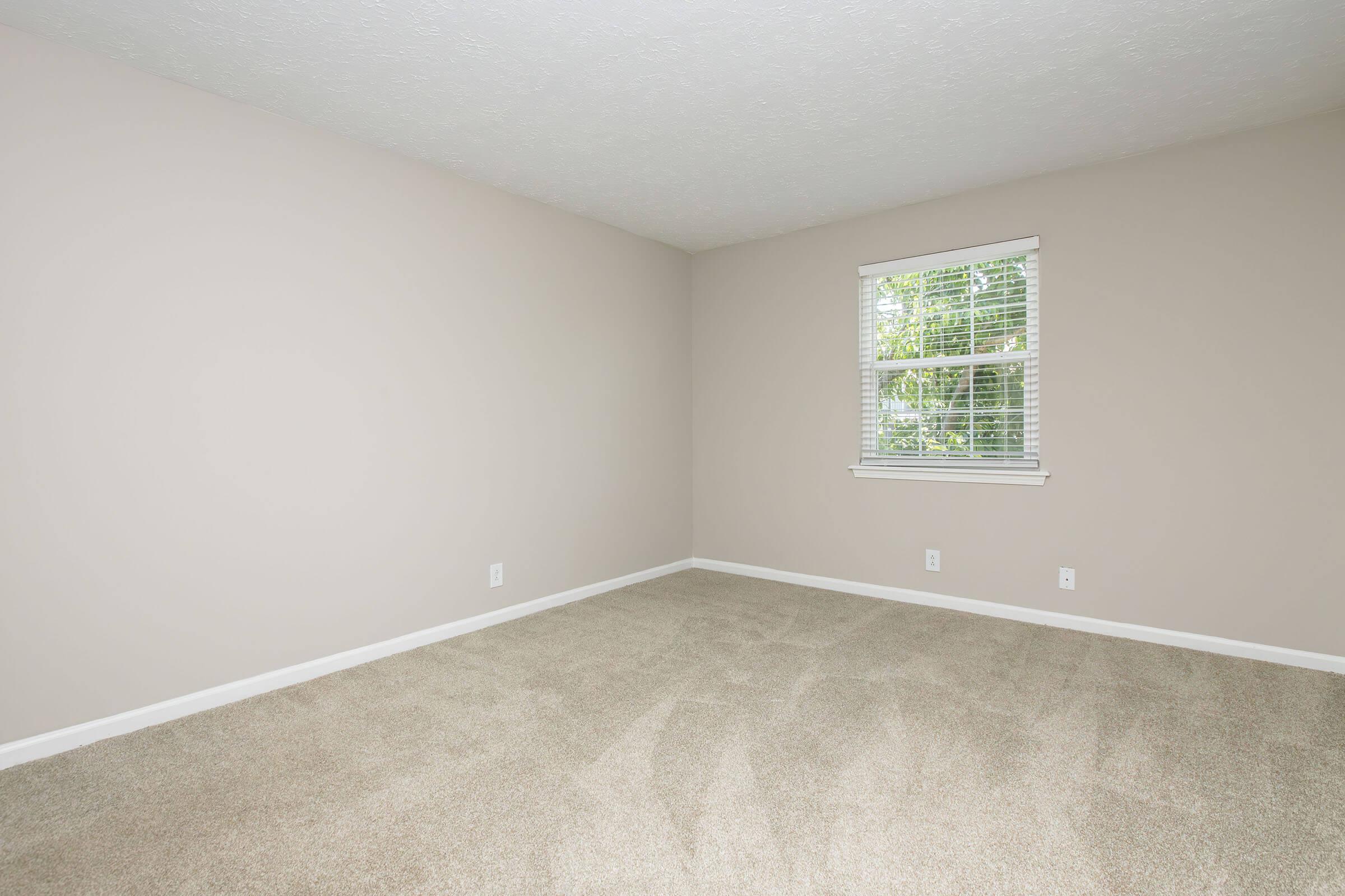 Empty room with light beige walls and carpeted flooring. A window with white blinds allows natural light to enter, illuminating the space. No furniture or decorations are present, creating a clean and minimalist appearance.