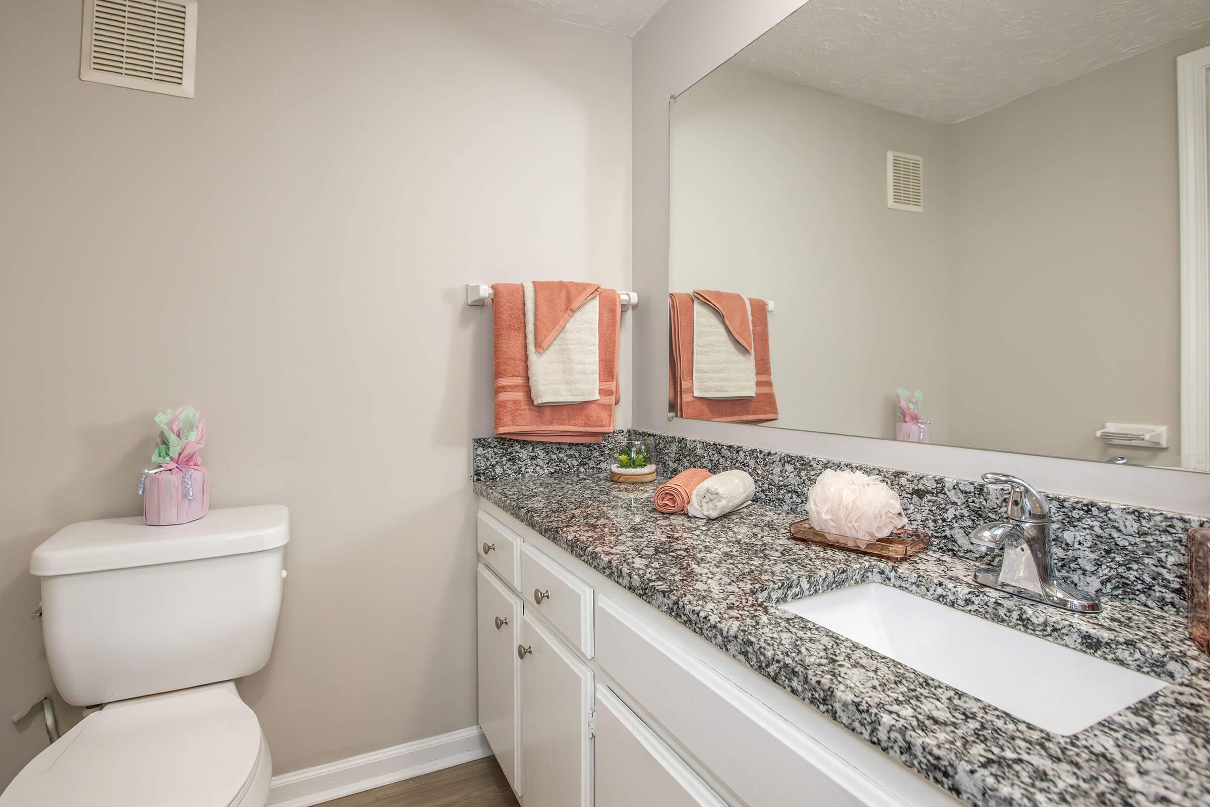 A modern bathroom featuring a white toilet, a granite countertop with a sink, and two rolled towels on towel racks. Decorative items include a small plant and a fluffy bath accessory. The walls are a light beige color, creating a clean and inviting atmosphere.