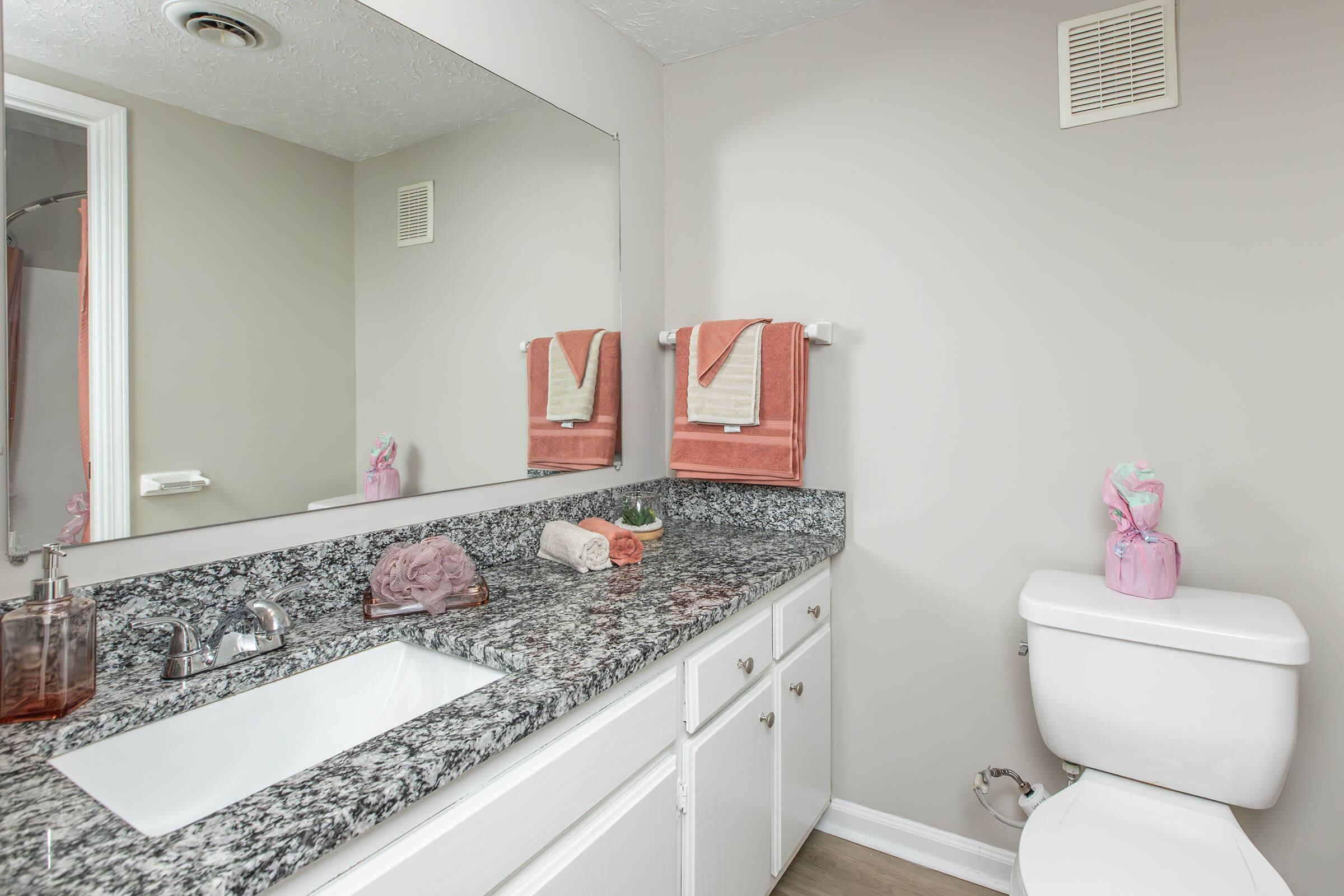 A clean bathroom featuring a marble countertop with a sink, a mirror above it, and neatly arranged pink towels. A white toilet is visible next to the countertop, and there is a small decorative item on the counter. The walls are painted in a light color, and a ventilation vent is installed near the ceiling.