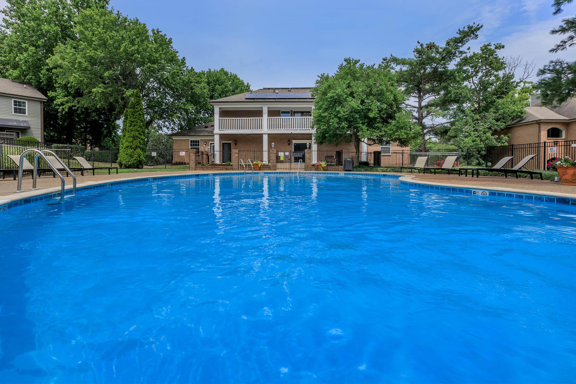 a group of people swimming in a pool of water