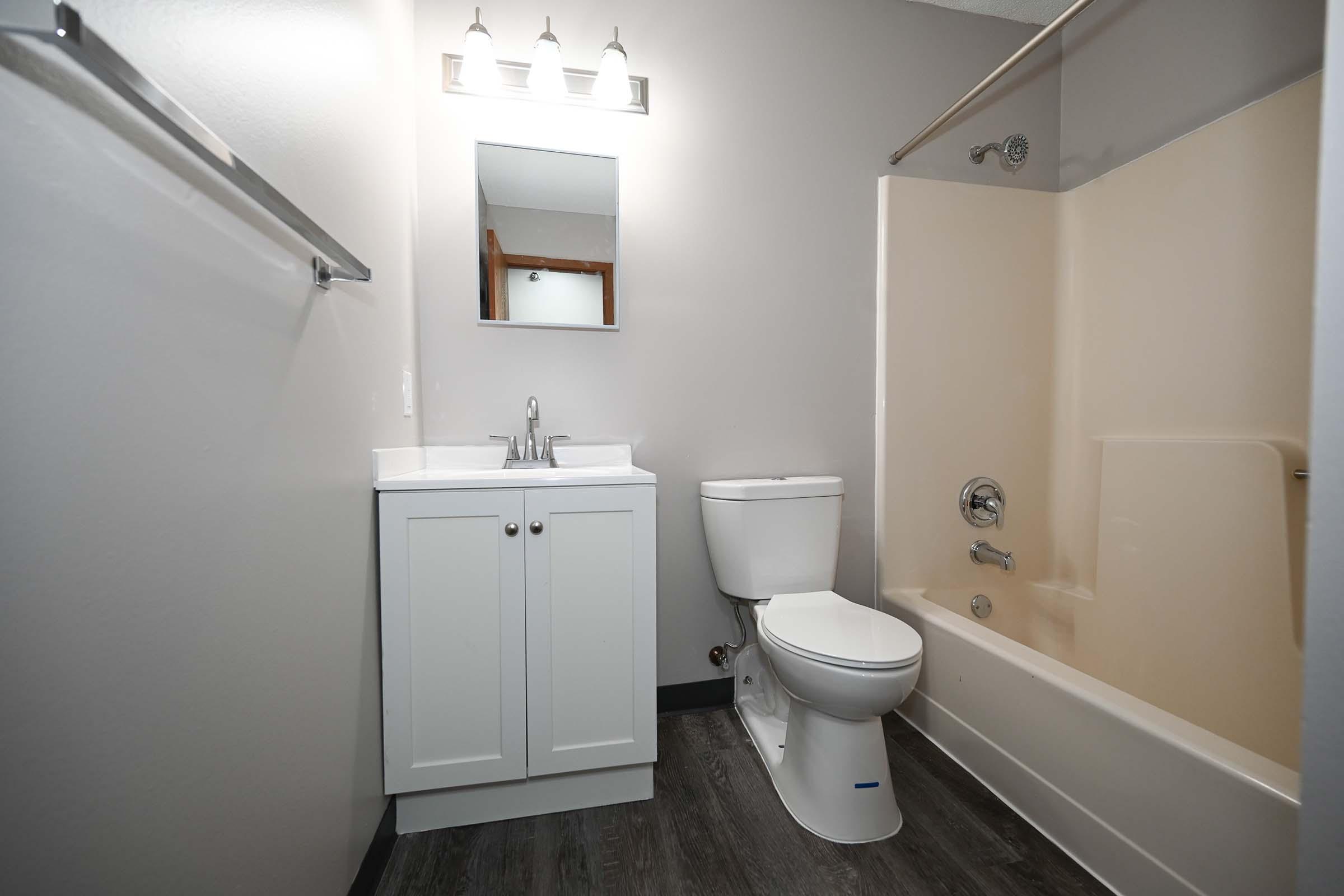A modern bathroom featuring a white vanity with a sink, a toilet, and a bathtub with a shower. The walls are painted light gray, and there is a mirror above the vanity. A light fixture with three bulbs is mounted above the mirror, and the flooring is dark, resembling wood.