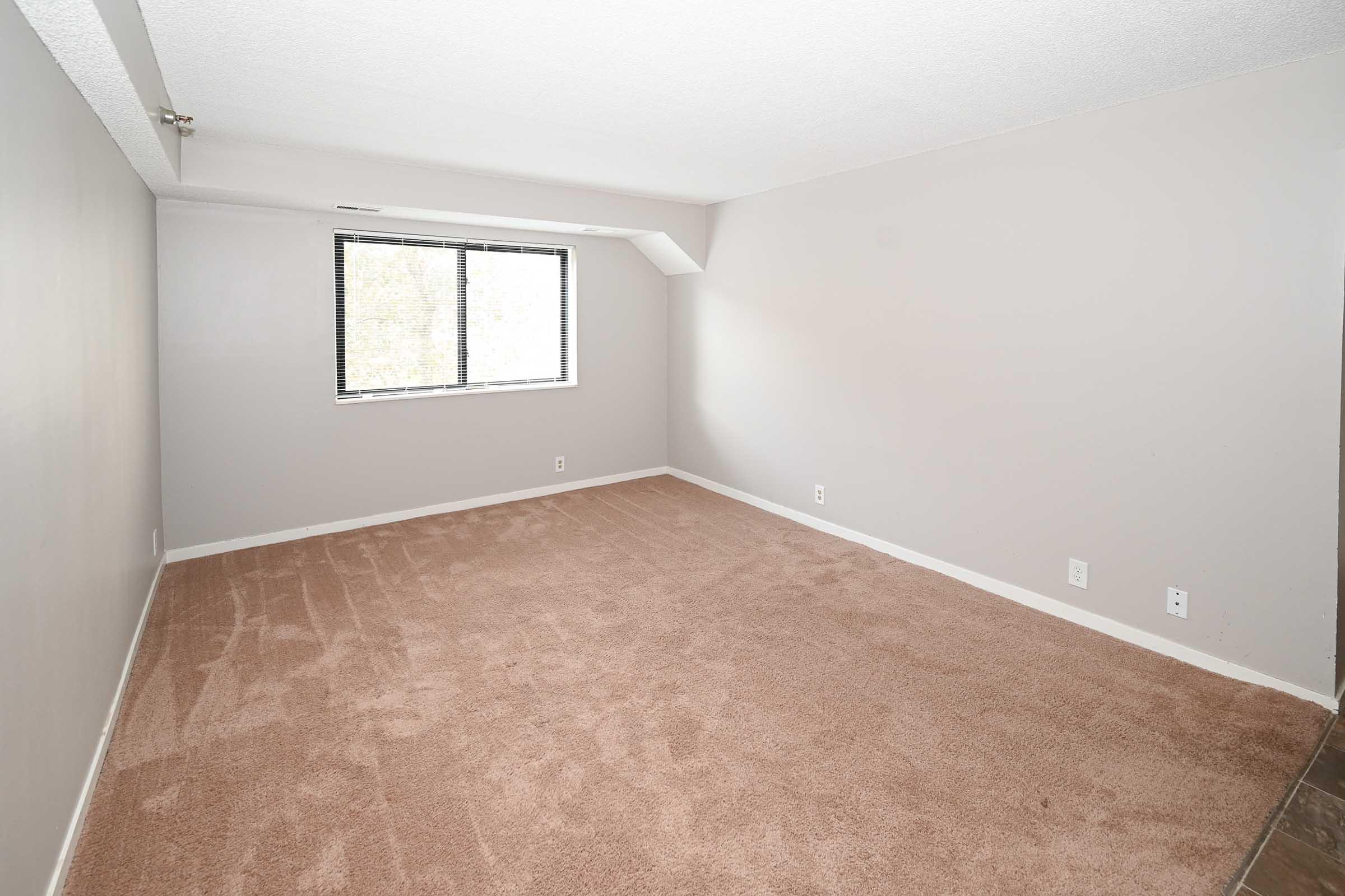 Empty room with light gray walls and a large window allowing natural light. The floor is covered in beige carpeting, and there are no furnishings or decorations present. The overall ambiance is bright and spacious, with a clean and minimalistic design.