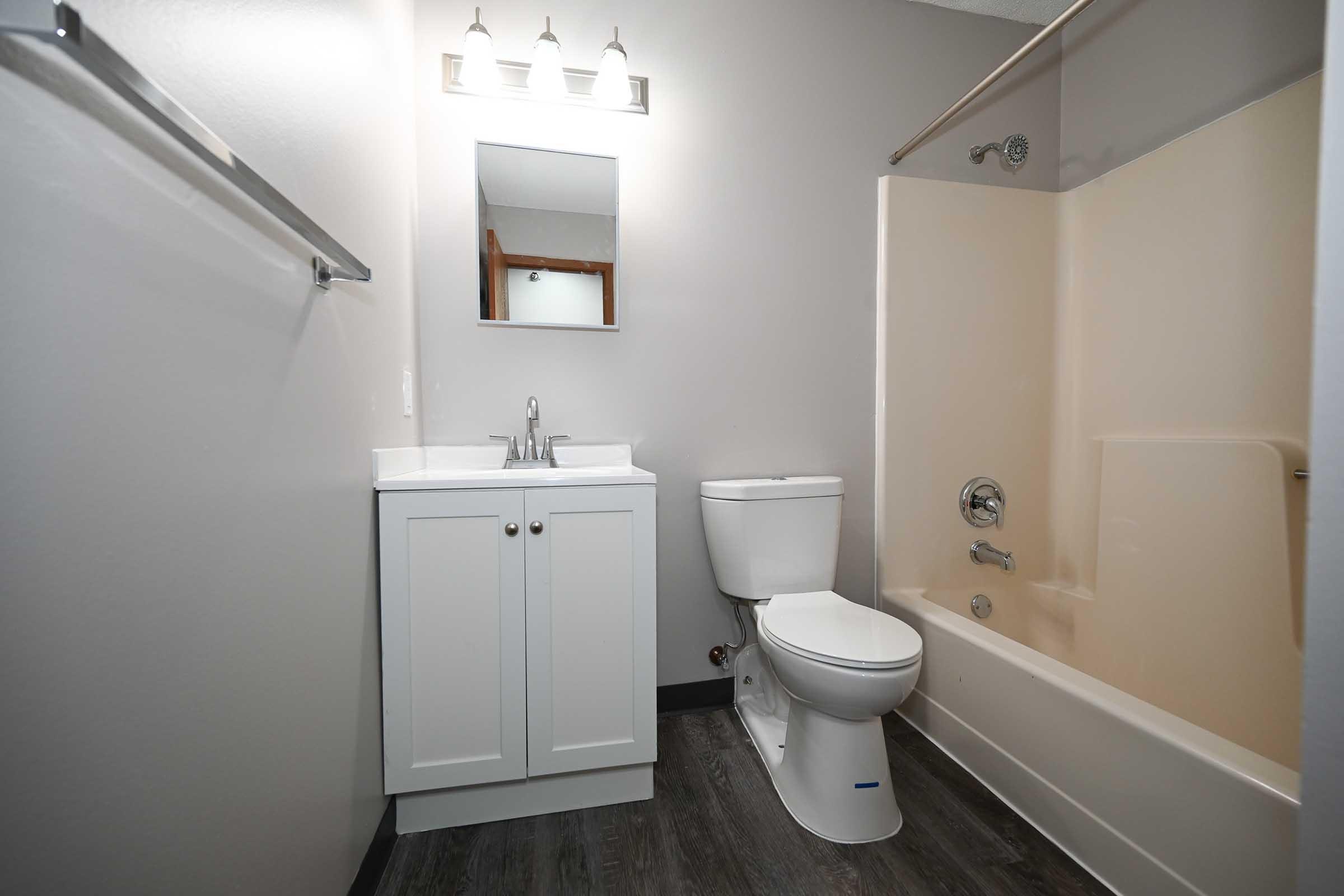 A clean and modern bathroom featuring a white vanity with a sink, a toilet, and a bathtub with a shower. The walls are painted light gray, and there is a mirror above the sink along with three light fixtures. The flooring is dark, adding contrast to the overall design.