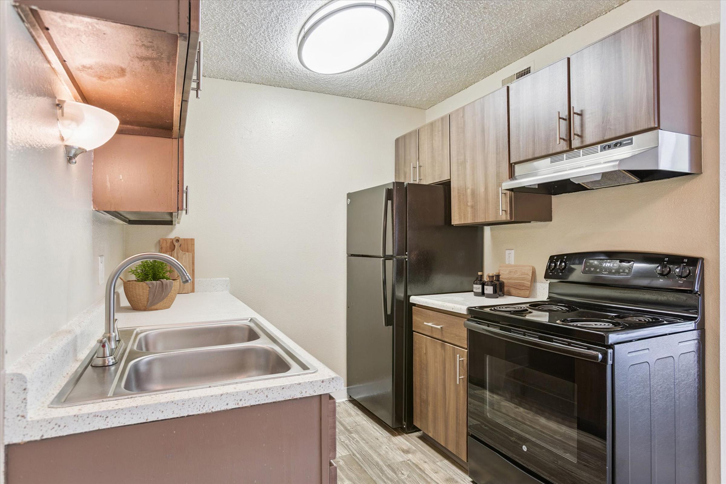 A modern kitchen featuring a black refrigerator and stove, wooden cabinets, and a double sink. The countertops are light-colored, and a decorative plant is placed beside the sink. The space is well-lit with a circular overhead light.