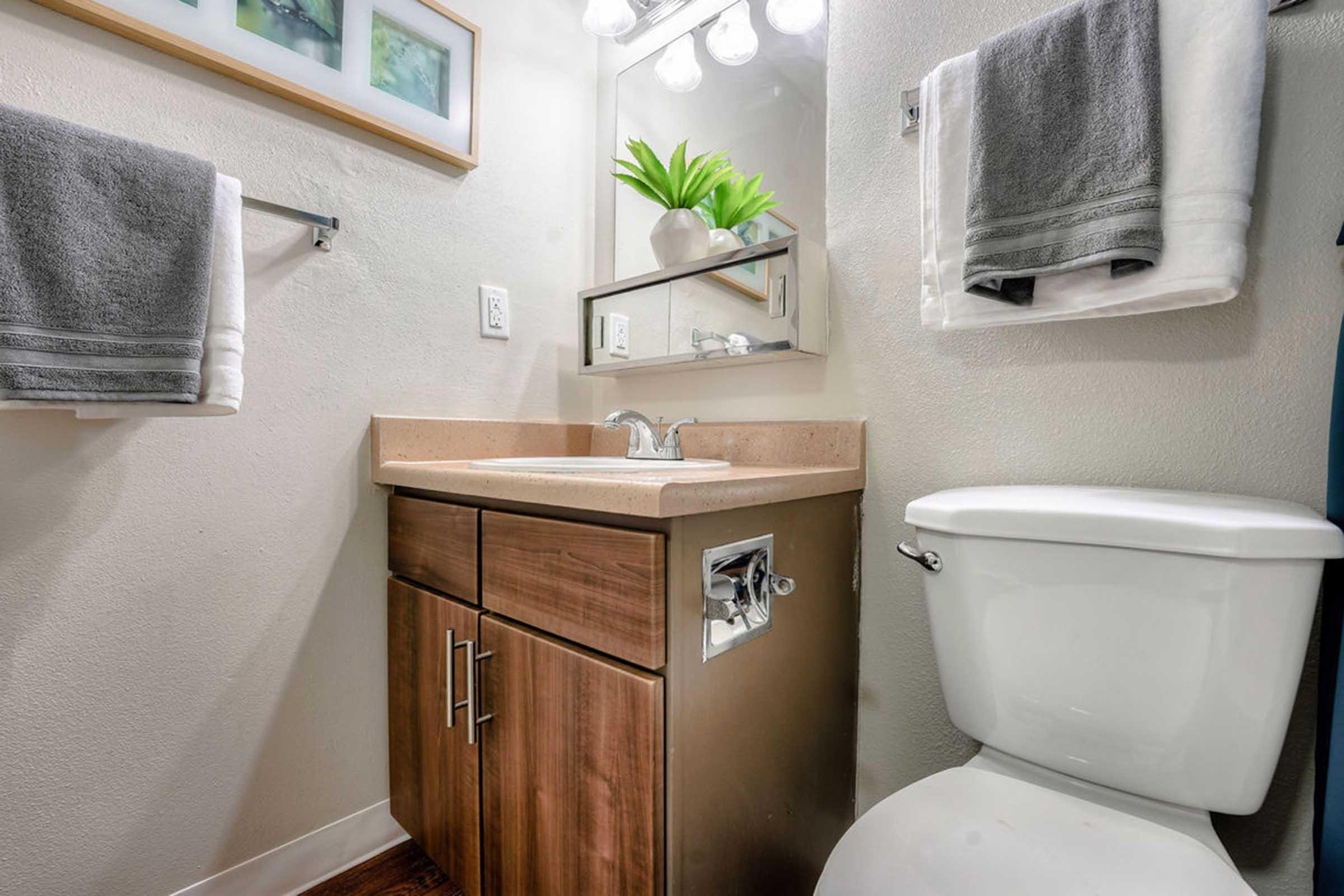 A clean, modern bathroom featuring a wooden vanity with a sink, a large mirror above, neatly arranged towels on racks, and a white toilet. A small potted plant adds a touch of greenery. The walls are a light color, enhancing the bright and airy feel of the space.