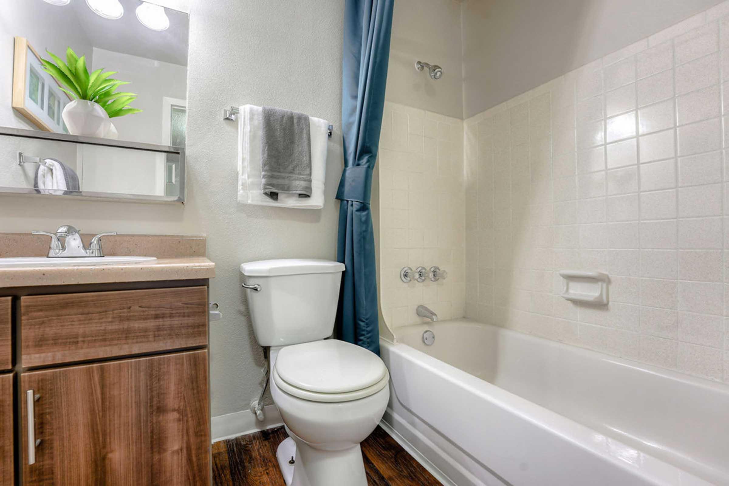 A clean bathroom featuring a white bathtub with a shower, a toilet, and a vanity with a sink. The walls are light-colored, and there's a blue shower curtain. A small plant is placed on the vanity, and a towel is hanging on the rack beside the mirror. Natural light illuminates the space.