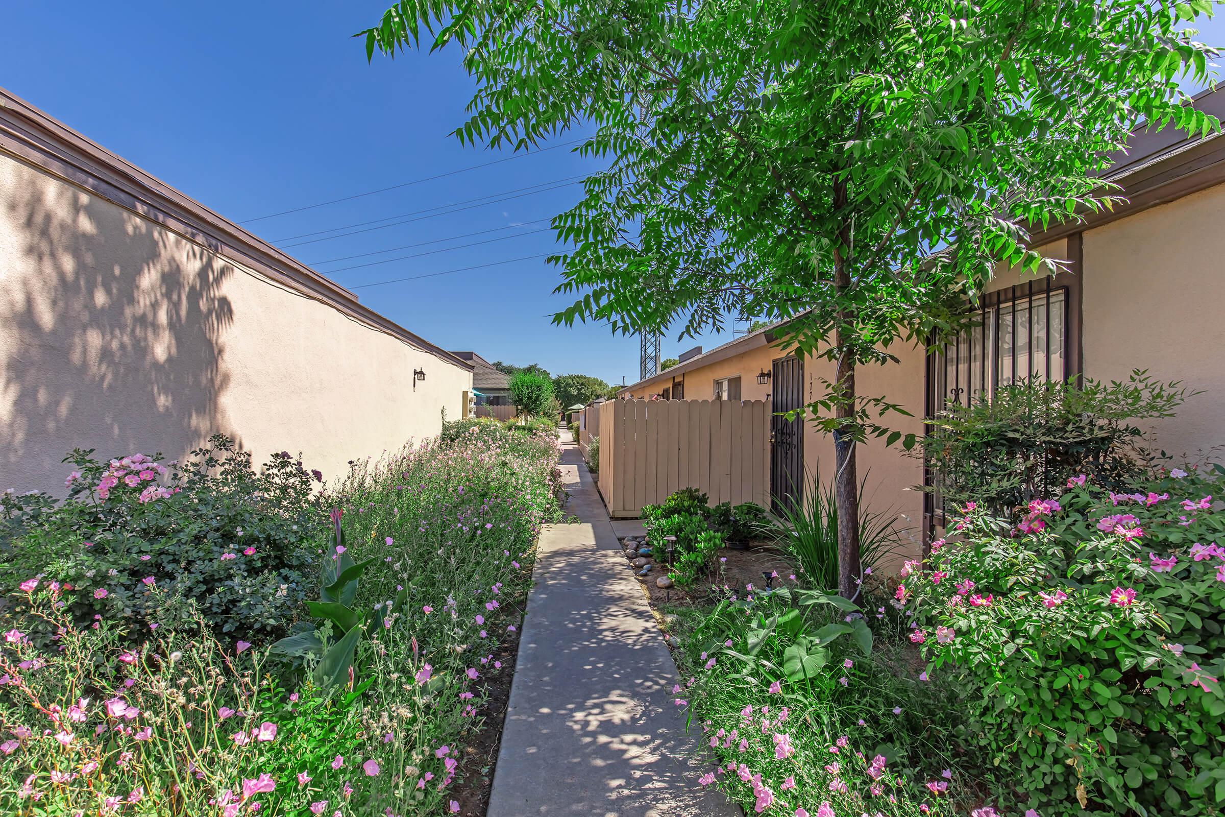 a close up of a flower garden in front of a house