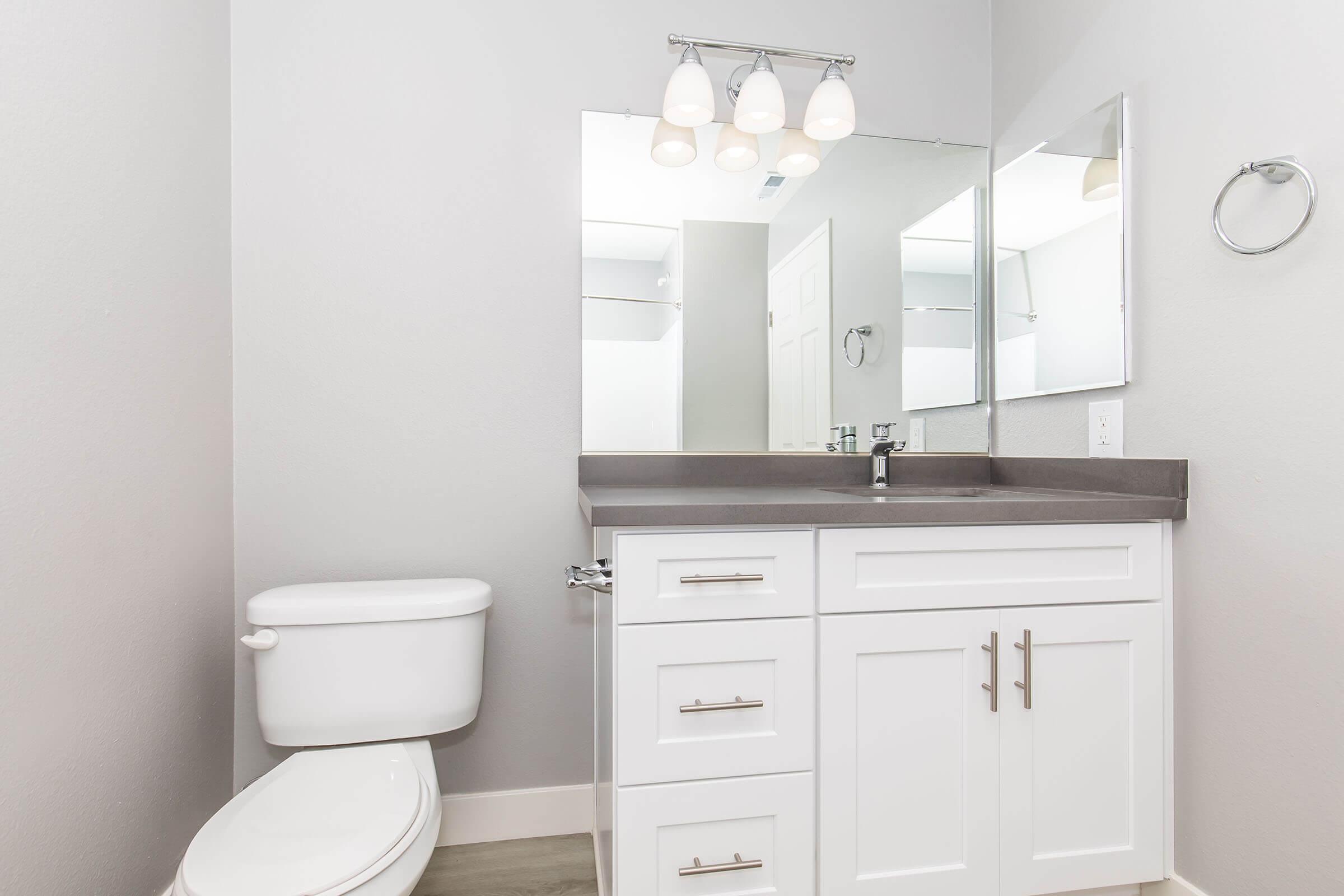 A modern bathroom featuring a white toilet, a double-sink vanity with dark gray countertop, and a large mirror. Soft lighting is provided by three lamps above the mirror. The walls are painted light gray, and the floor is a muted tone, creating a clean and contemporary look.