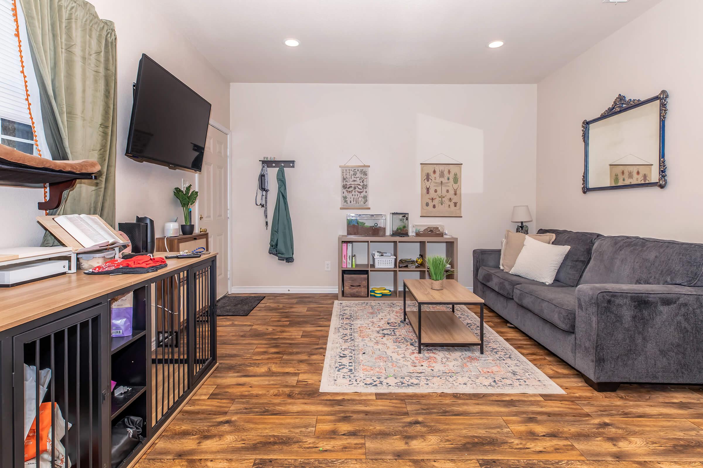 Cozy living room featuring a gray sofa, a coffee table, and a wooden media console. A wall-mounted TV is visible along with decorative artwork and a large mirror. The floor is wooden, and there's a rug under the coffee table, creating a welcoming atmosphere. A plant adds a touch of greenery to the space.