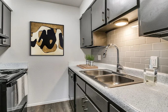 Modern kitchen featuring dark cabinetry, stainless steel sink, and counter space. A framed abstract artwork with bold patterns hangs above a wooden cutting board. A potted plant adds a touch of greenery. The kitchen is well-lit with under-cabinet lighting, showcasing a clean and contemporary design.
