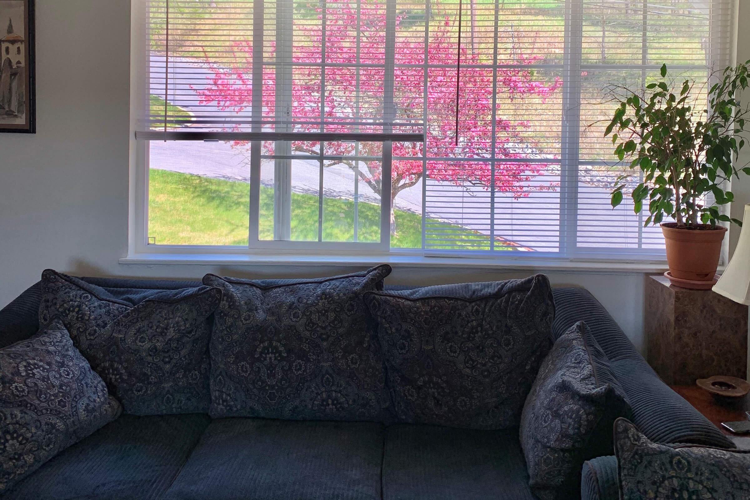 a living room filled with furniture and a large window