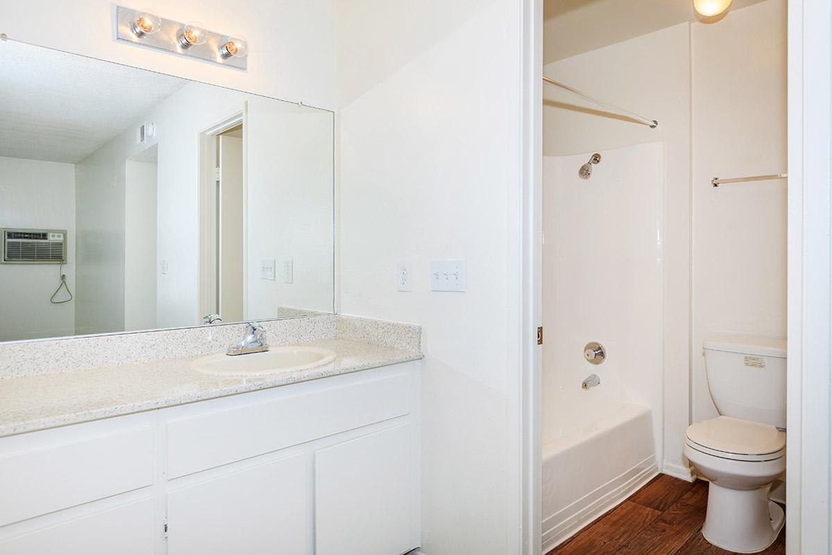 Bathroom sink with open door to shower