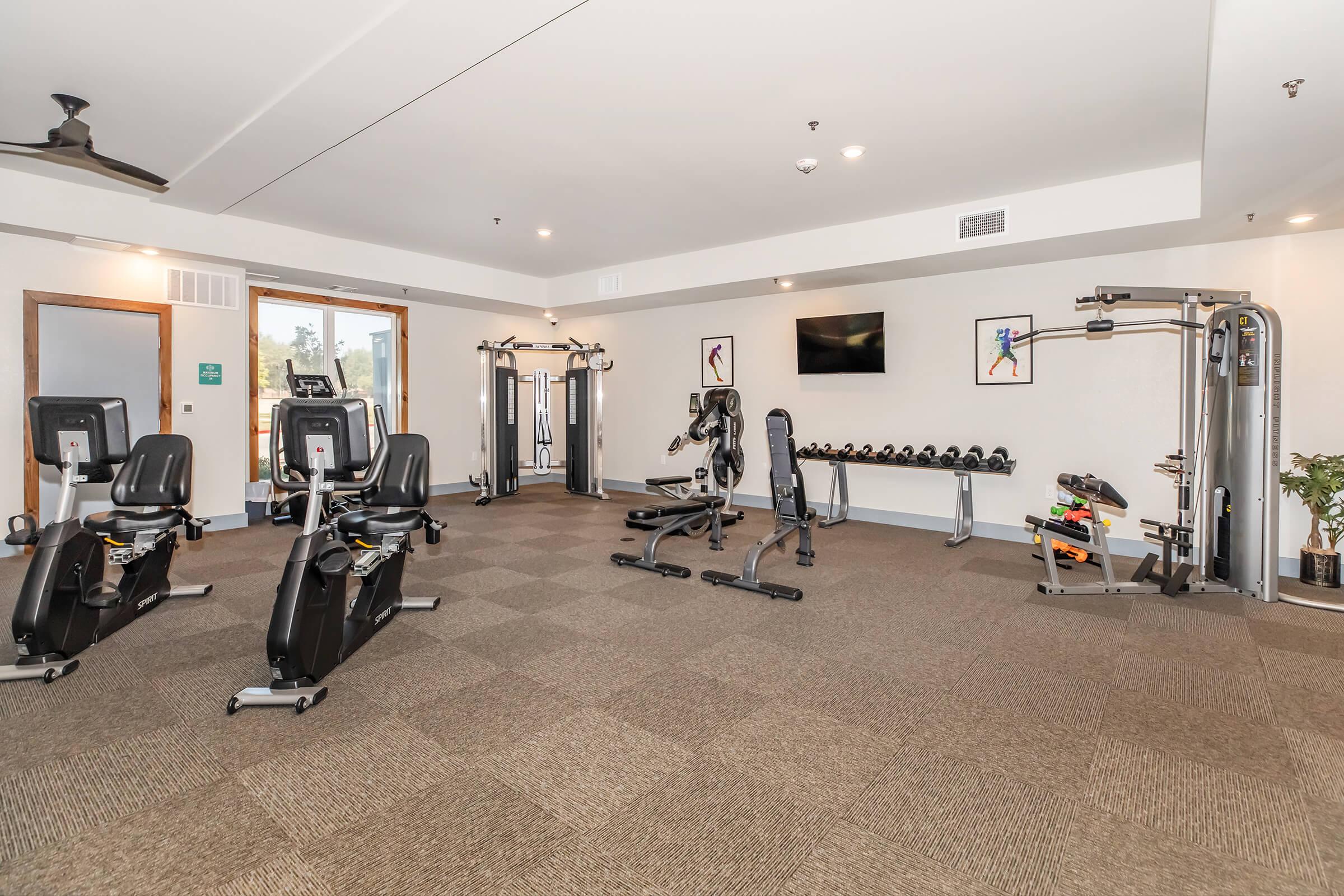 A modern gym interior featuring multiple exercise machines, cardio equipment, free weights, and a wall-mounted TV. The space is well-lit with windows, carpeted flooring, and decorative artwork on the walls, creating a motivational atmosphere for fitness enthusiasts.